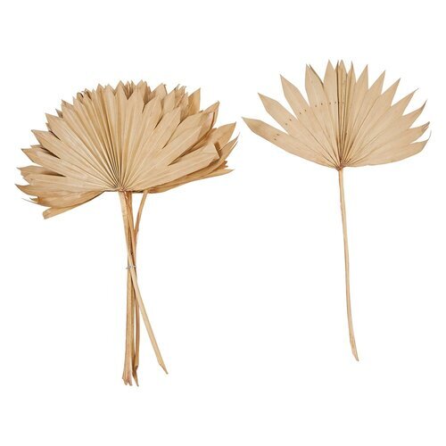 Dried Palm Bunch.jpg