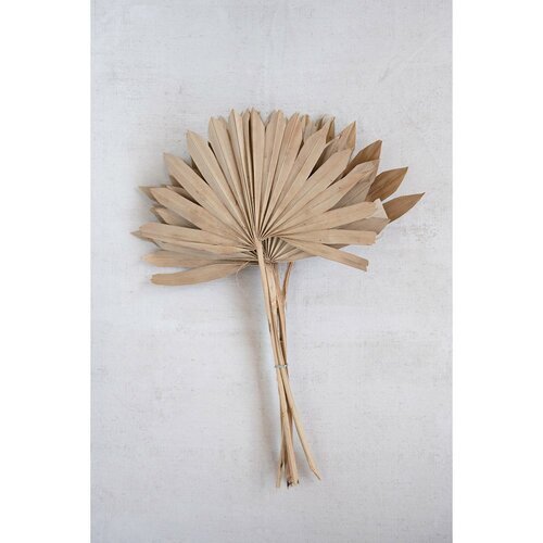 dried palm bunch 1.jpg
