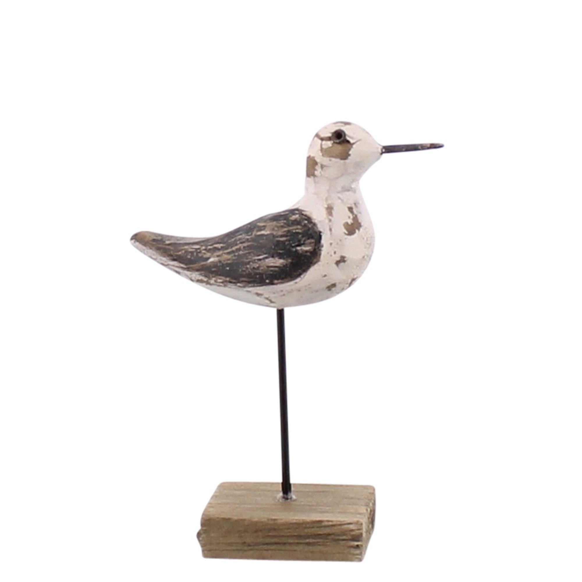HA Seagull.jpg