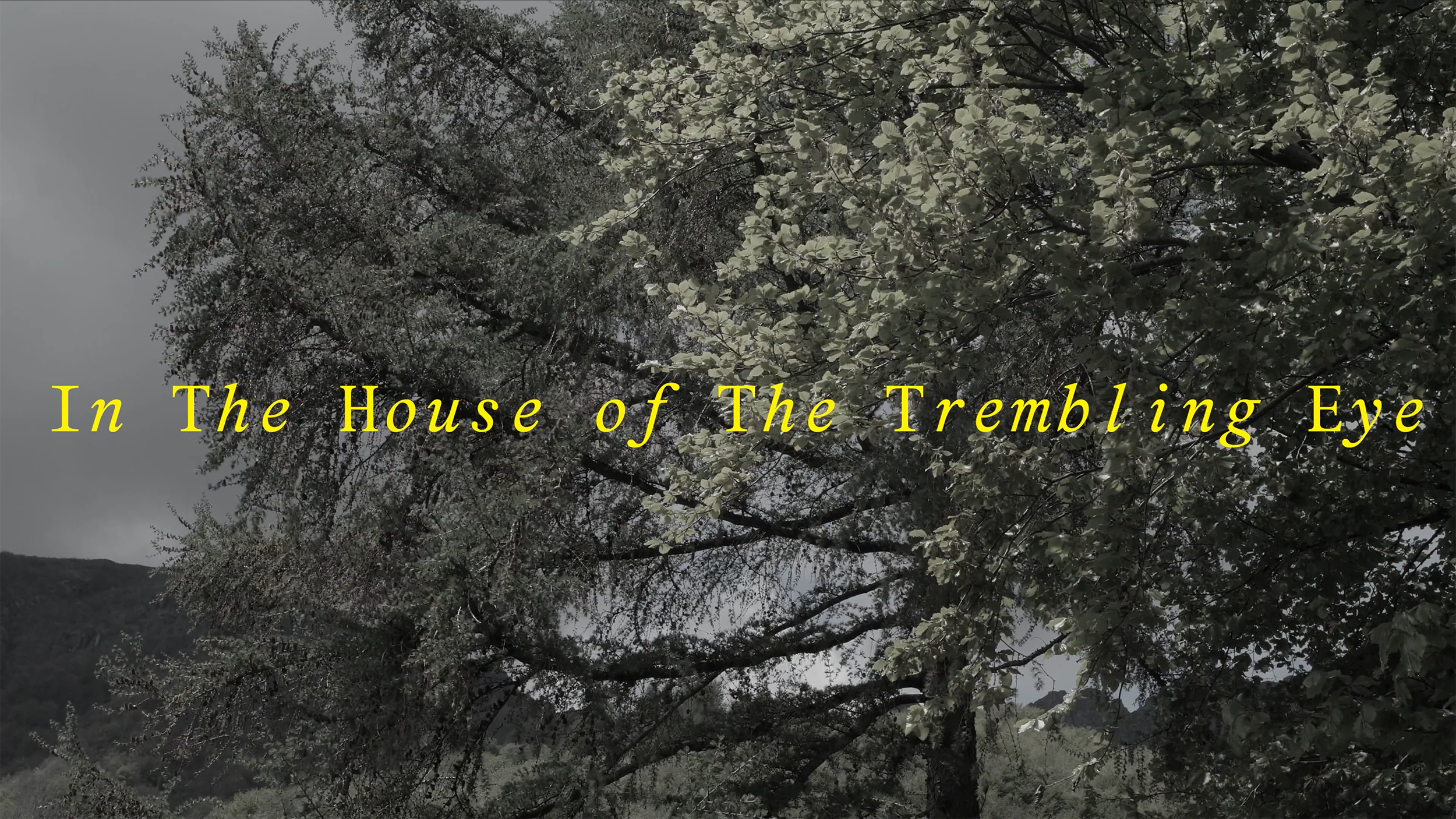 Allison Katz, In The House of The Trembling Eye 2025.png
