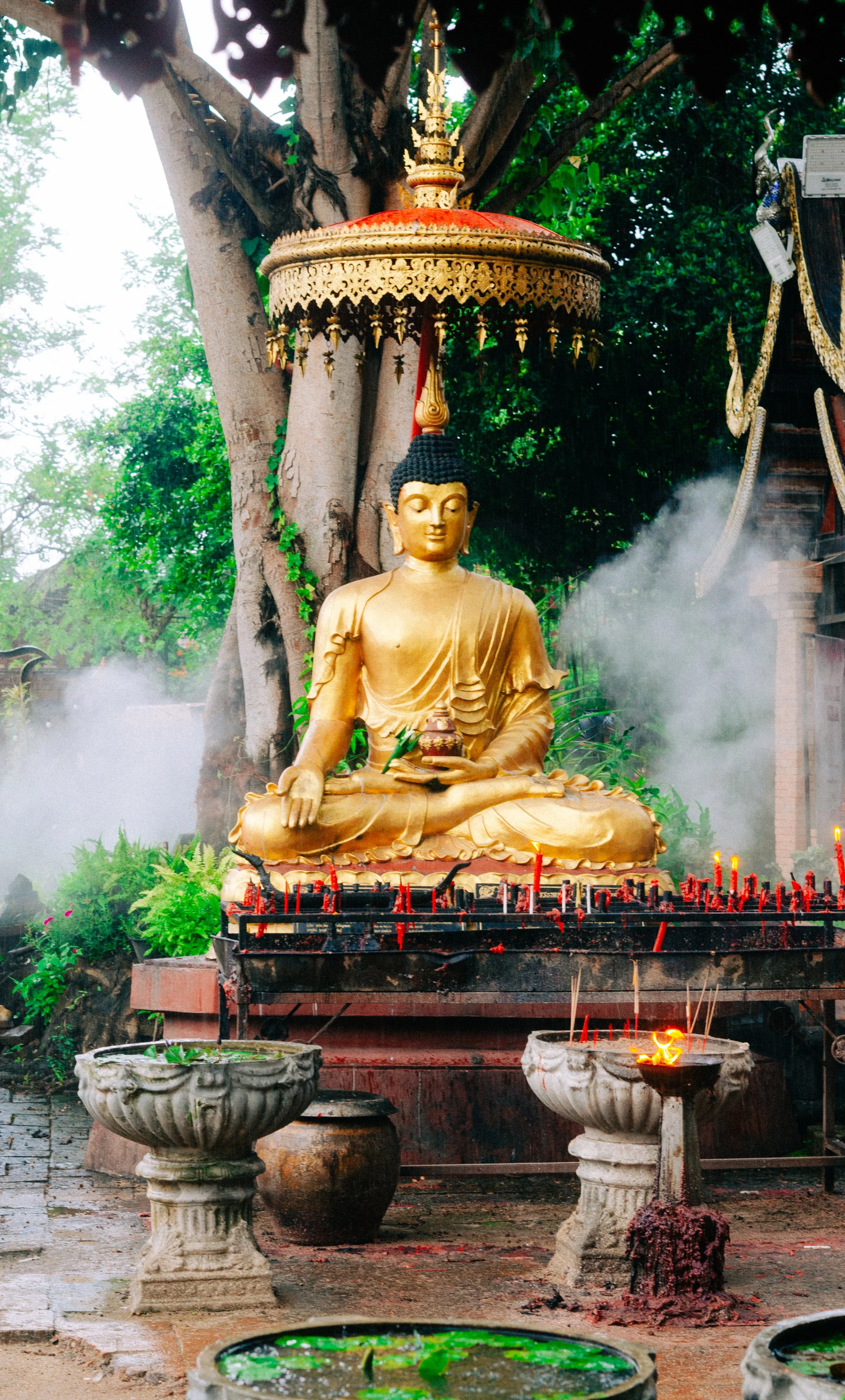 Peaceful Chiang Mai