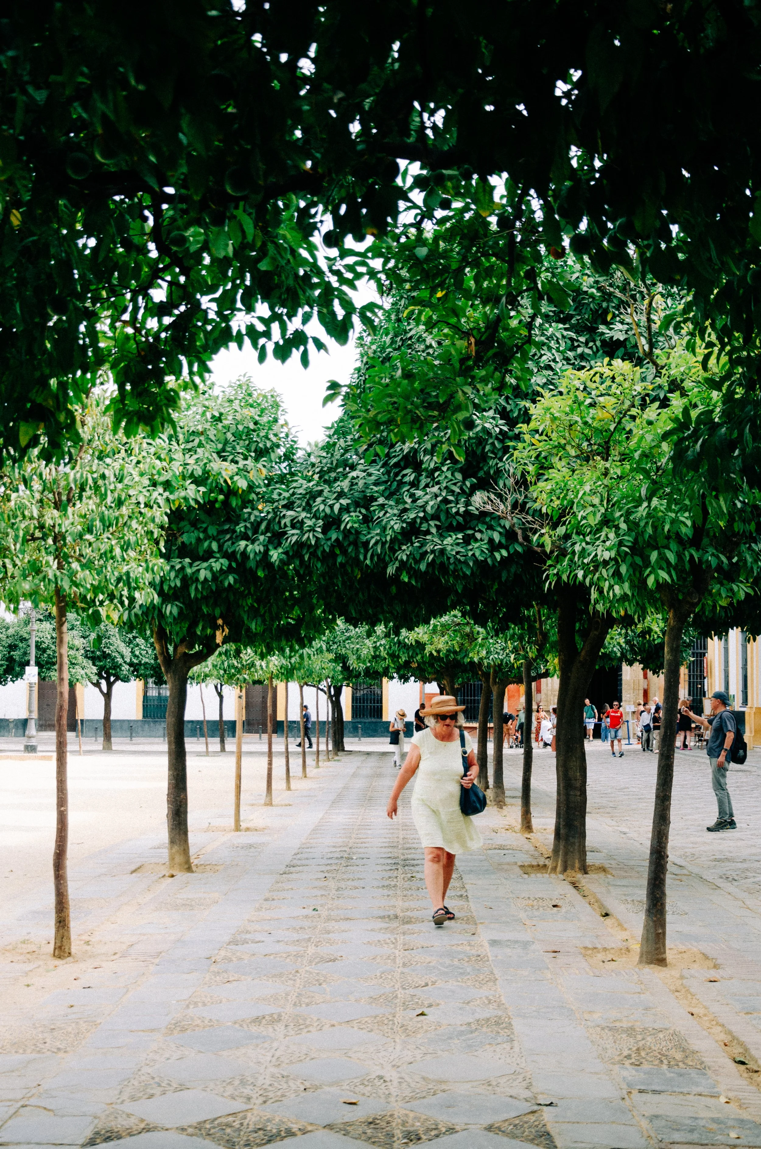 The Streets of Sevilla