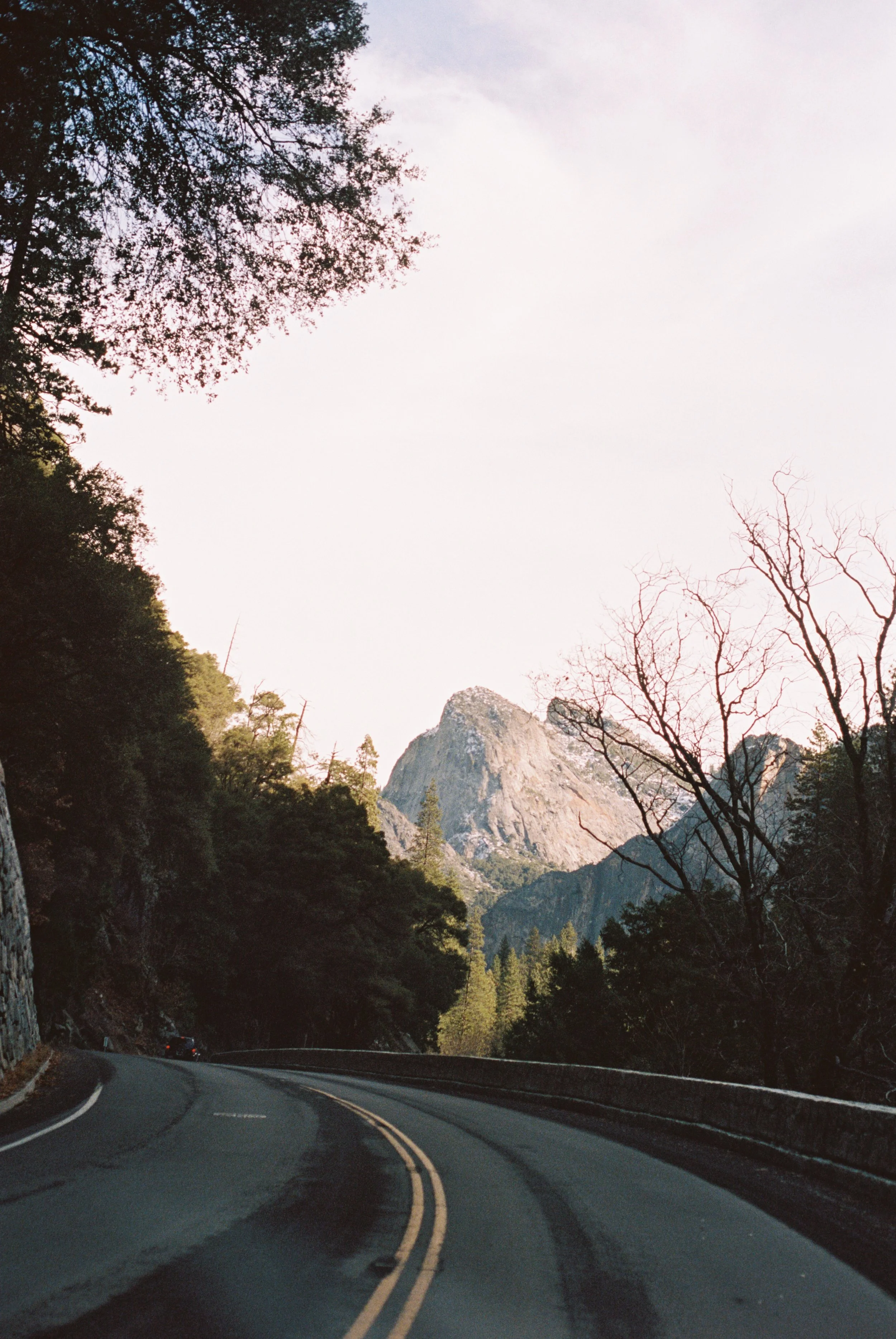 Yosemite National Park on 35mm