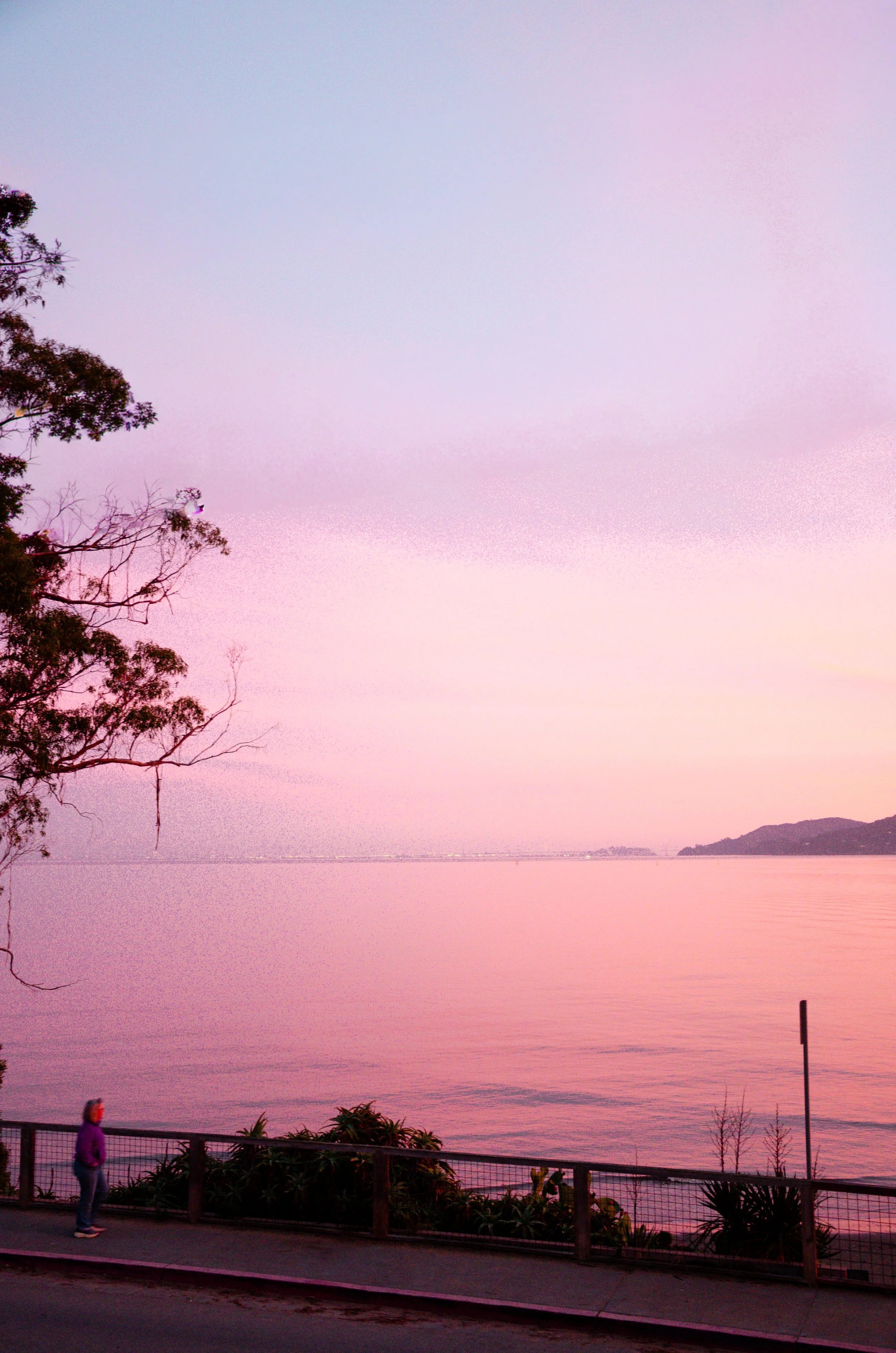 Point San Quentin Village