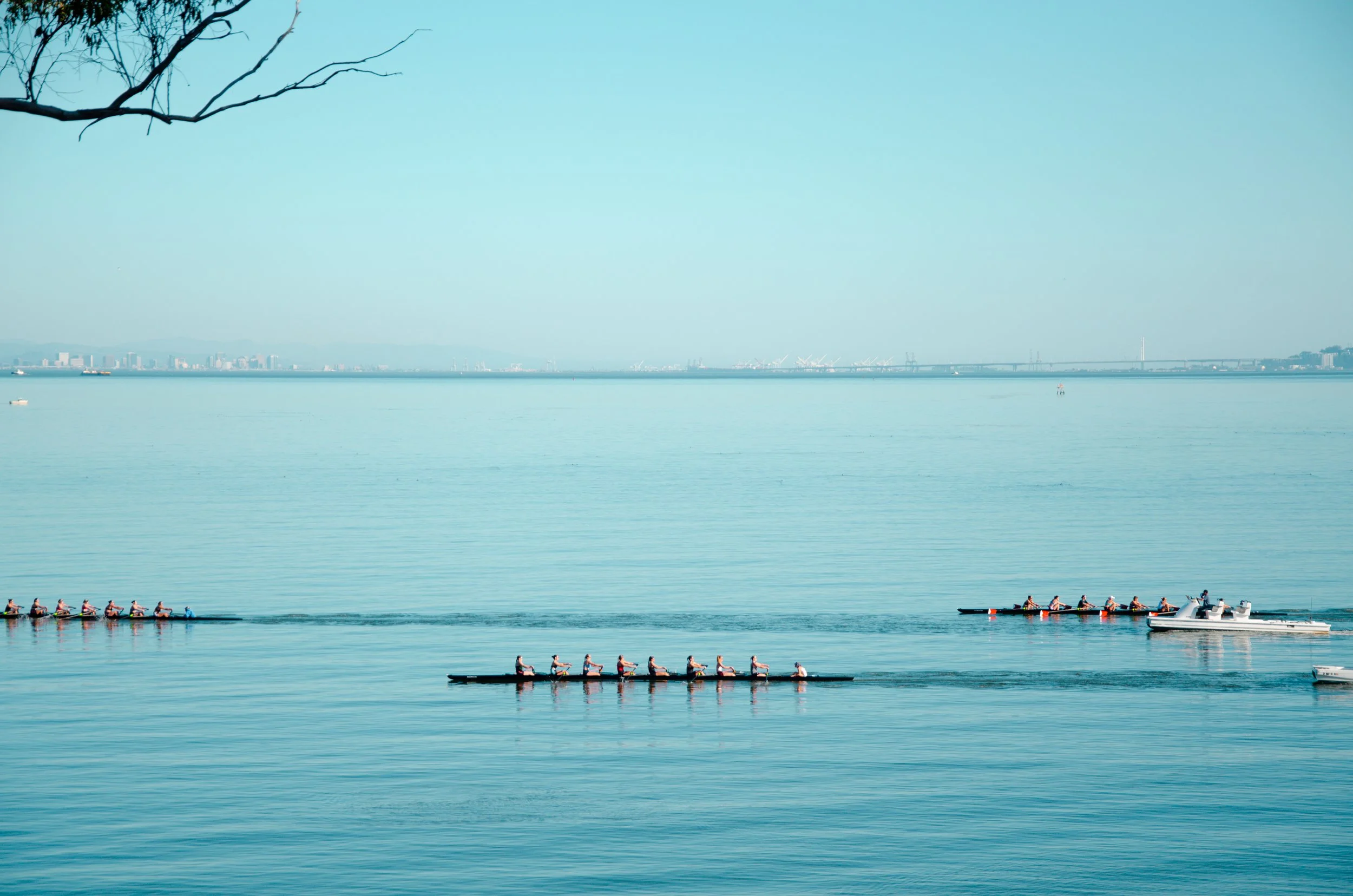 Rowers at the Beach