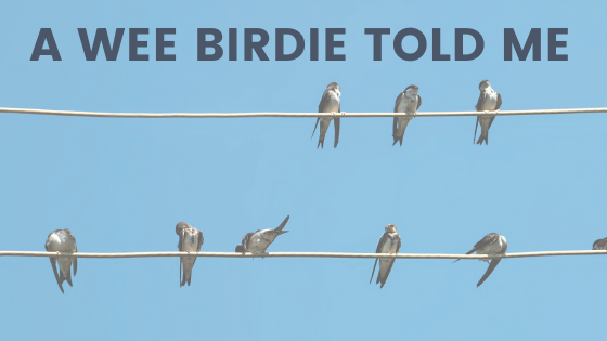 Simple Web Copy That Works!