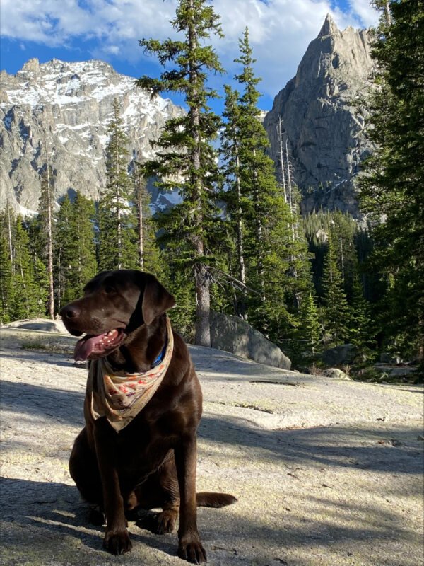 frankie backpacking.jpg