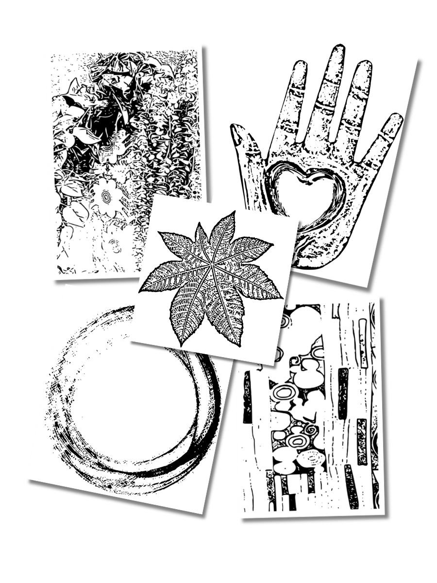 You Choose! — Medium Screen 6 Pack