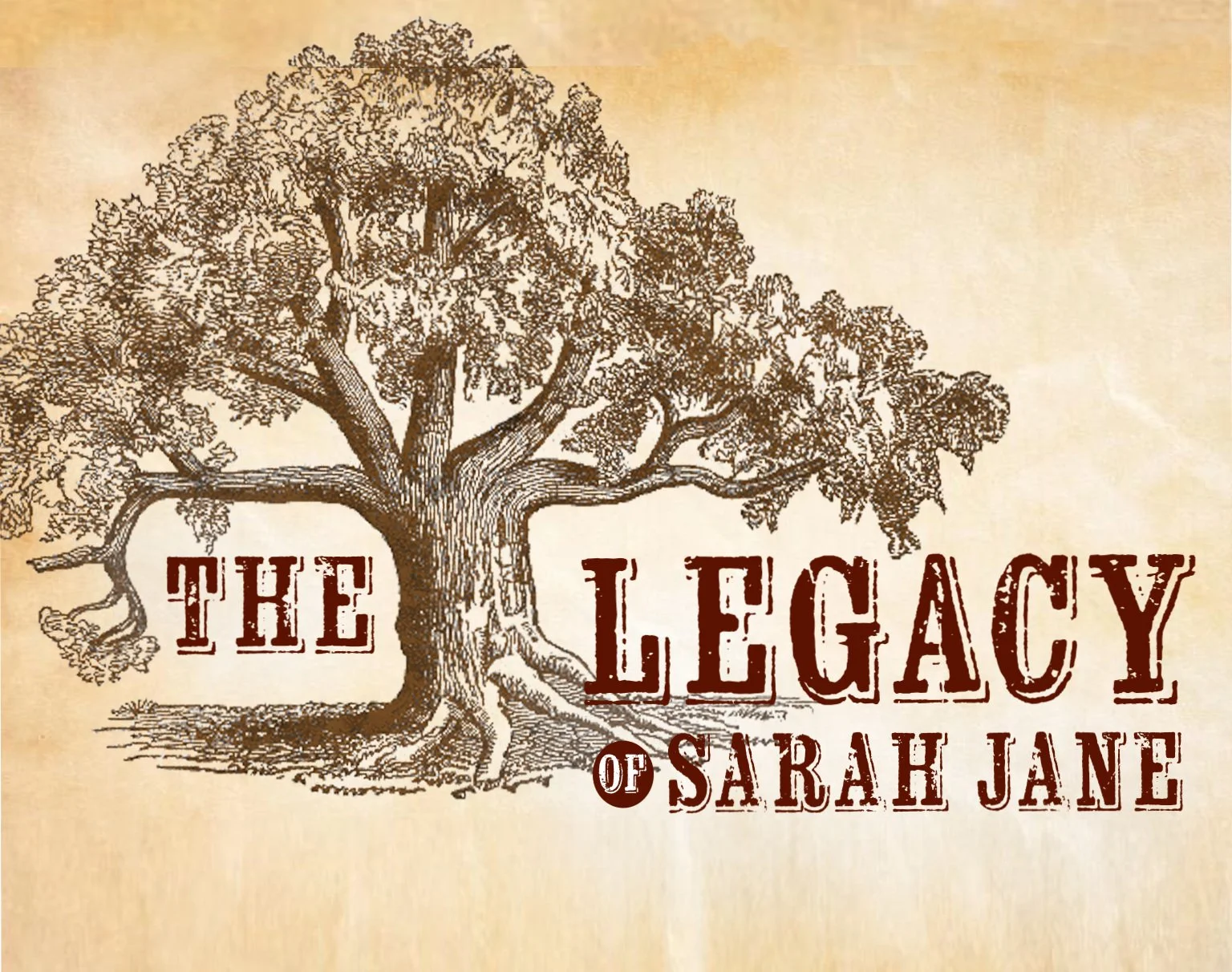 The Legacy of Sarah Jane