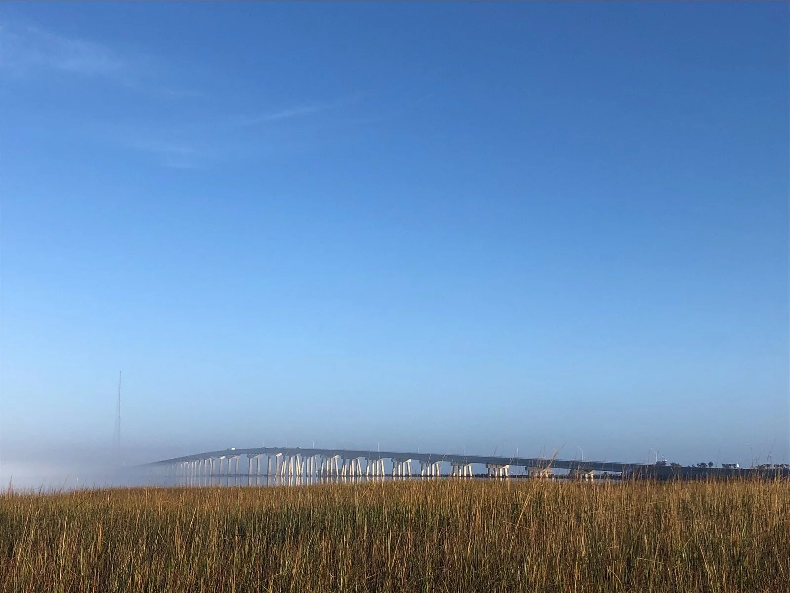 eZy Watermark_05-11-2020_07-52-10AM.JPG