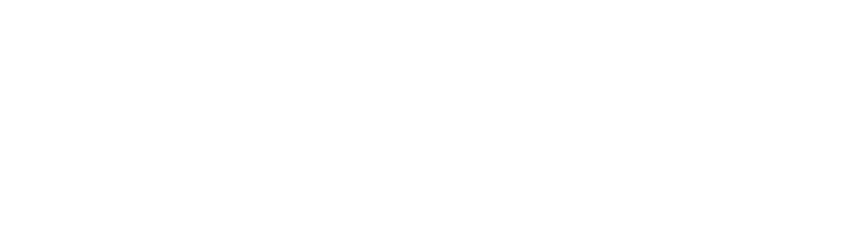 MORGAN WITT CONSULTING