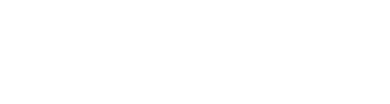MORGAN WITT CONSULTING