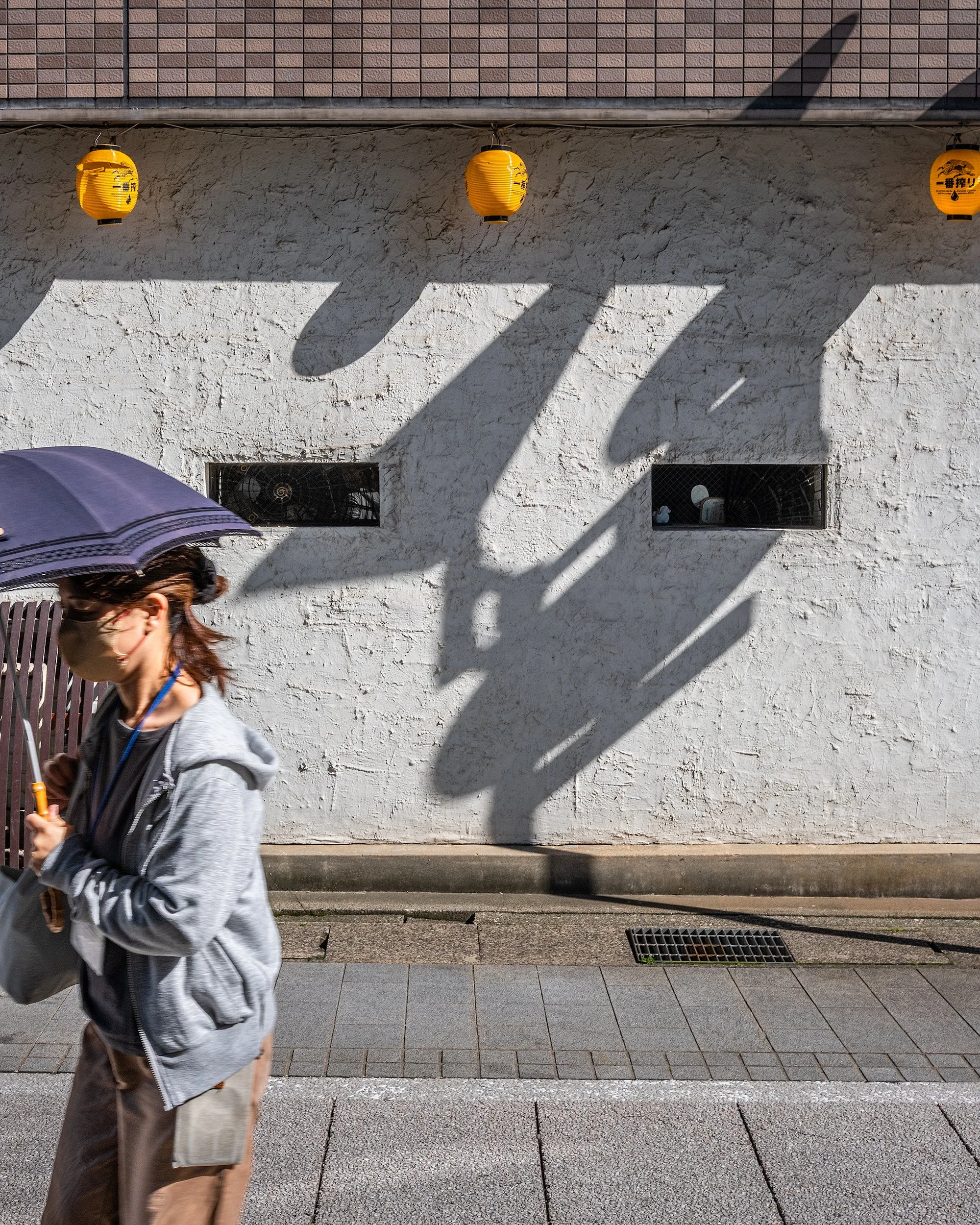 Geometric Shadow Forms (Toyama City, Japan)