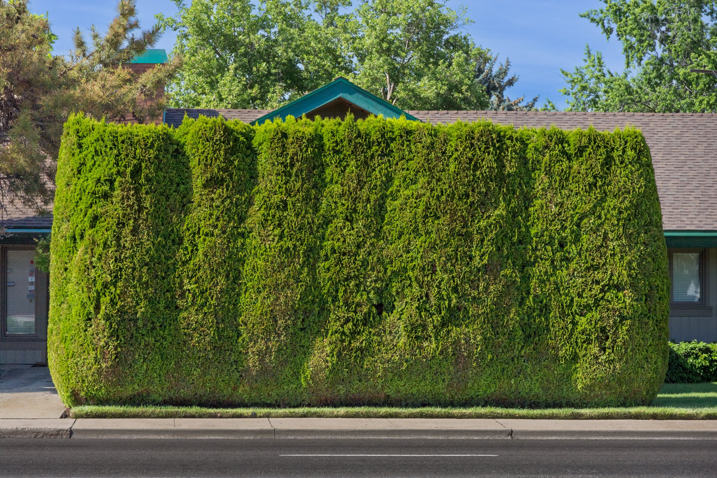 There Is Something Behind This (Boise, Idaho)