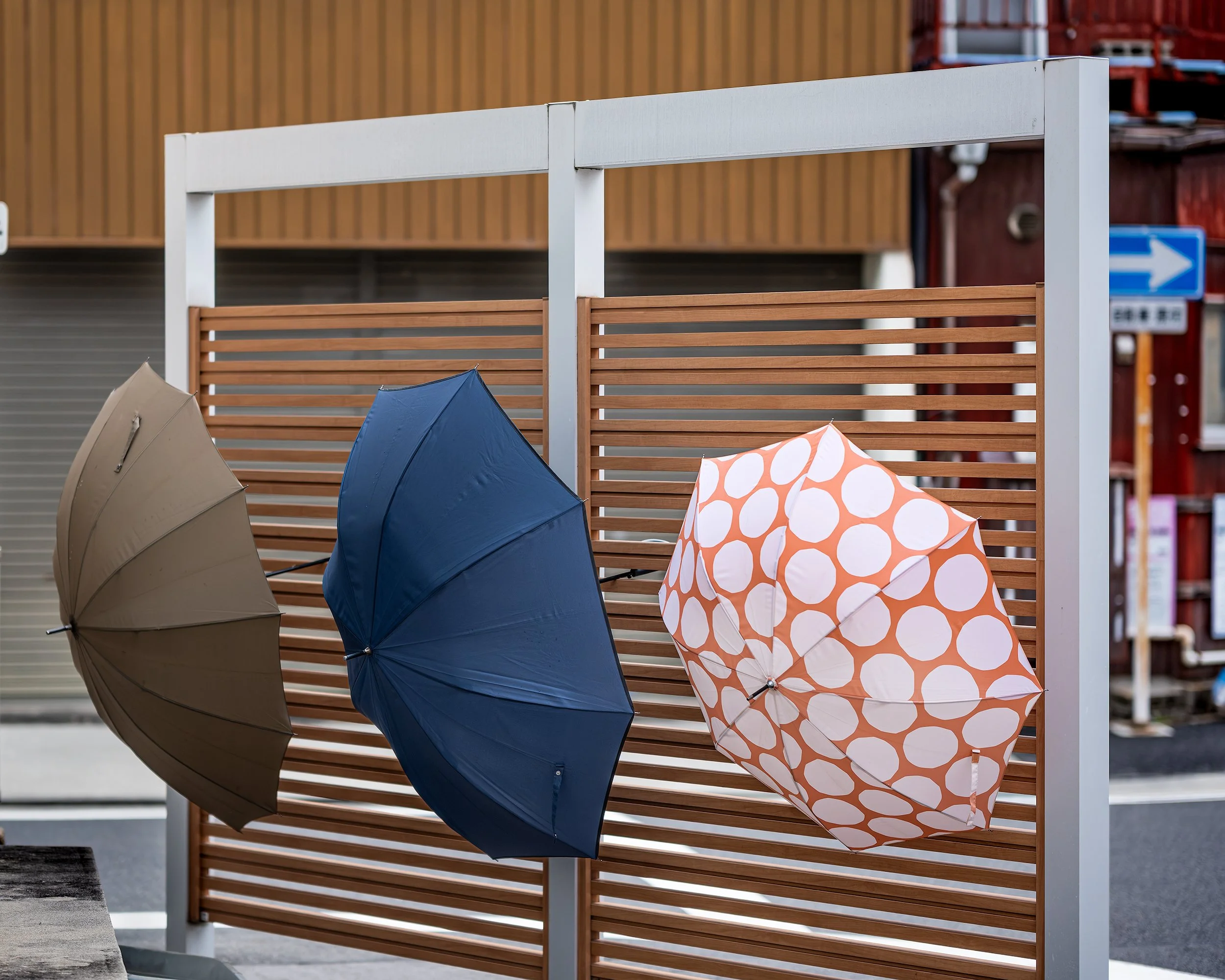 Umbrellas Drying (Nagoya, Japan)