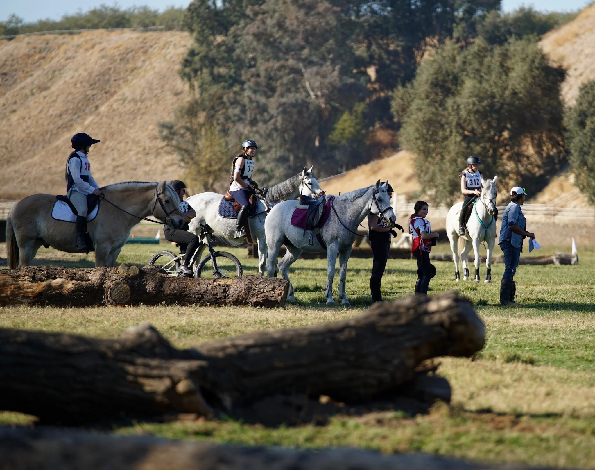 Horse Show Withdrawal