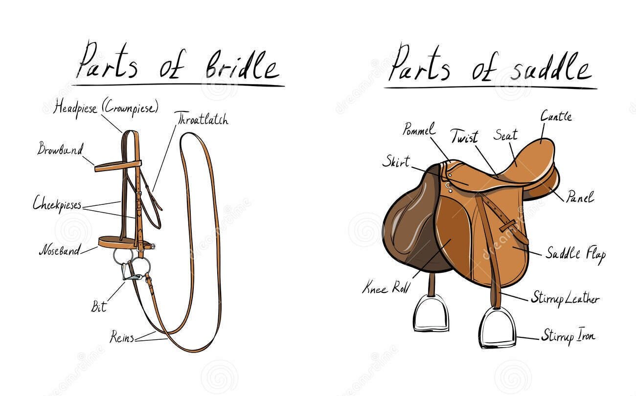 Riding Terms Defined