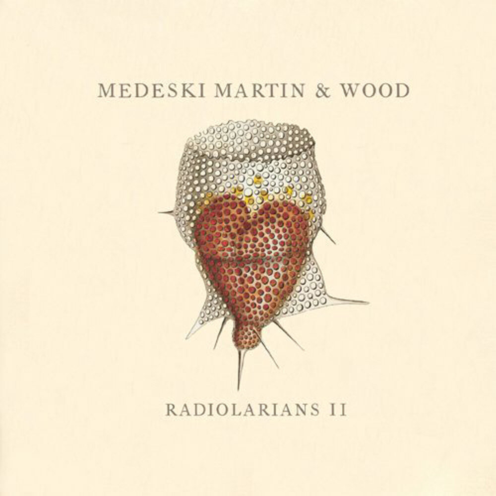 Music — Medeski Martin & Wood