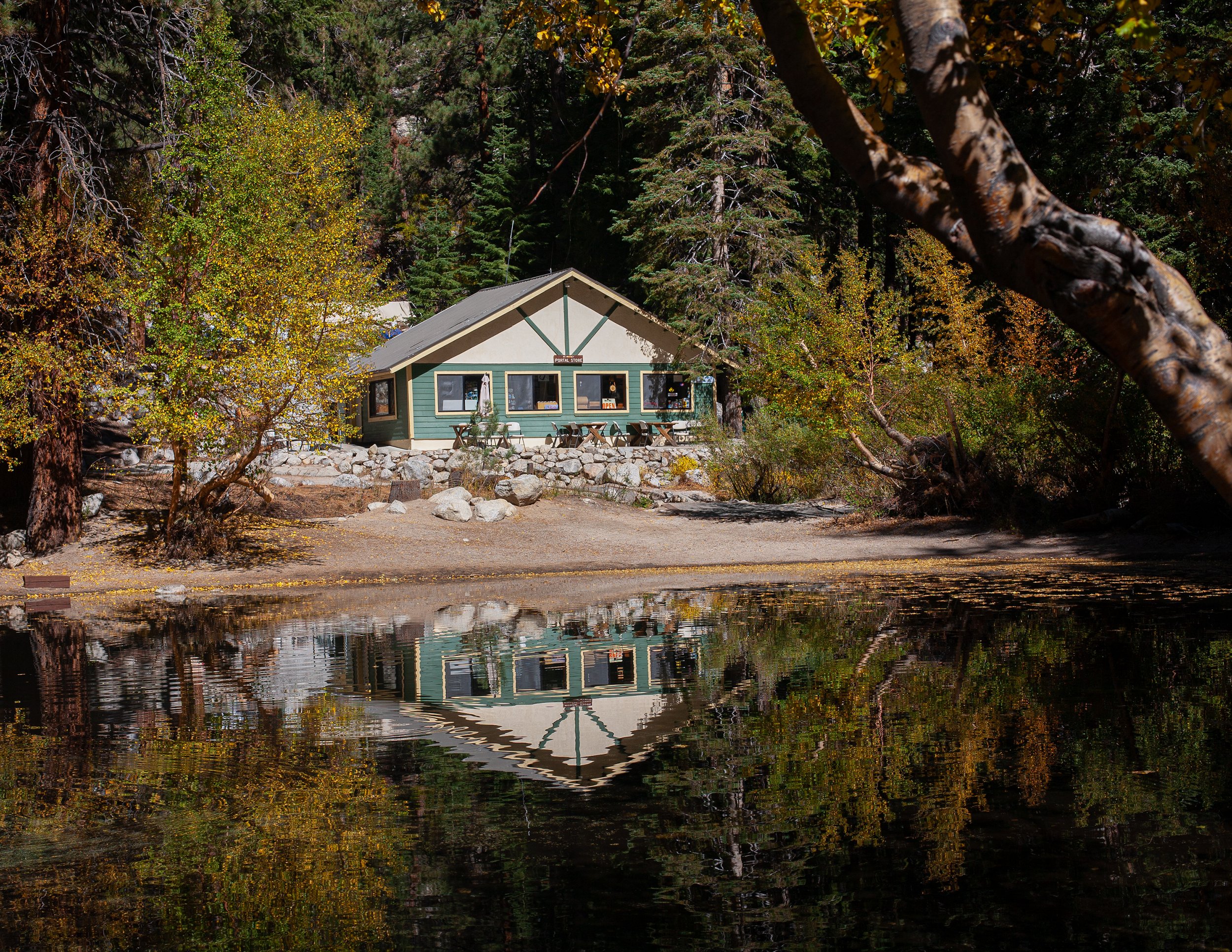 Cabin in the woods
