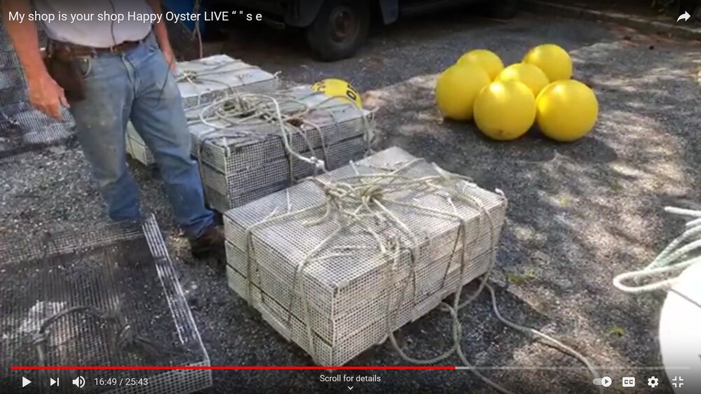 S4E16 3-tier cage system.jpg