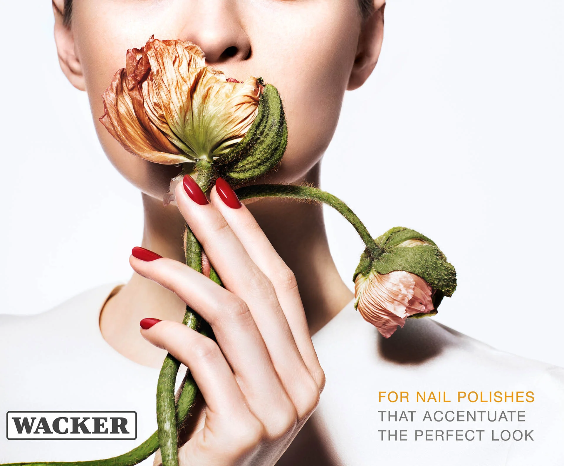 Wacker 1.jpg