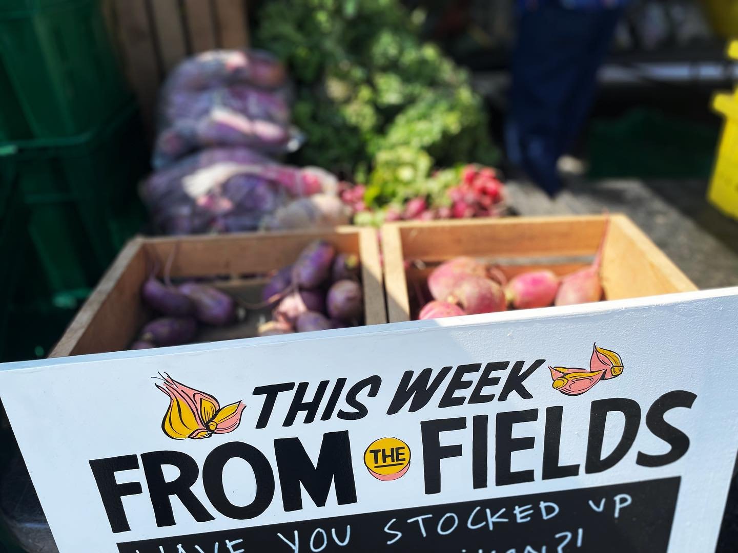 Stock up on what&rsquo;s fresh with @longseasonfarm 

Every Sunday. 10-2. @beaconfarmersmarket Voted BEST FARMERS&rsquo; MARKET by @hudsonvalleymag

#BeaconFarmersMarket #CommunityStrong #farmersmarkets #thingstodoinbeacon #thingstodohudsonvalley #ny