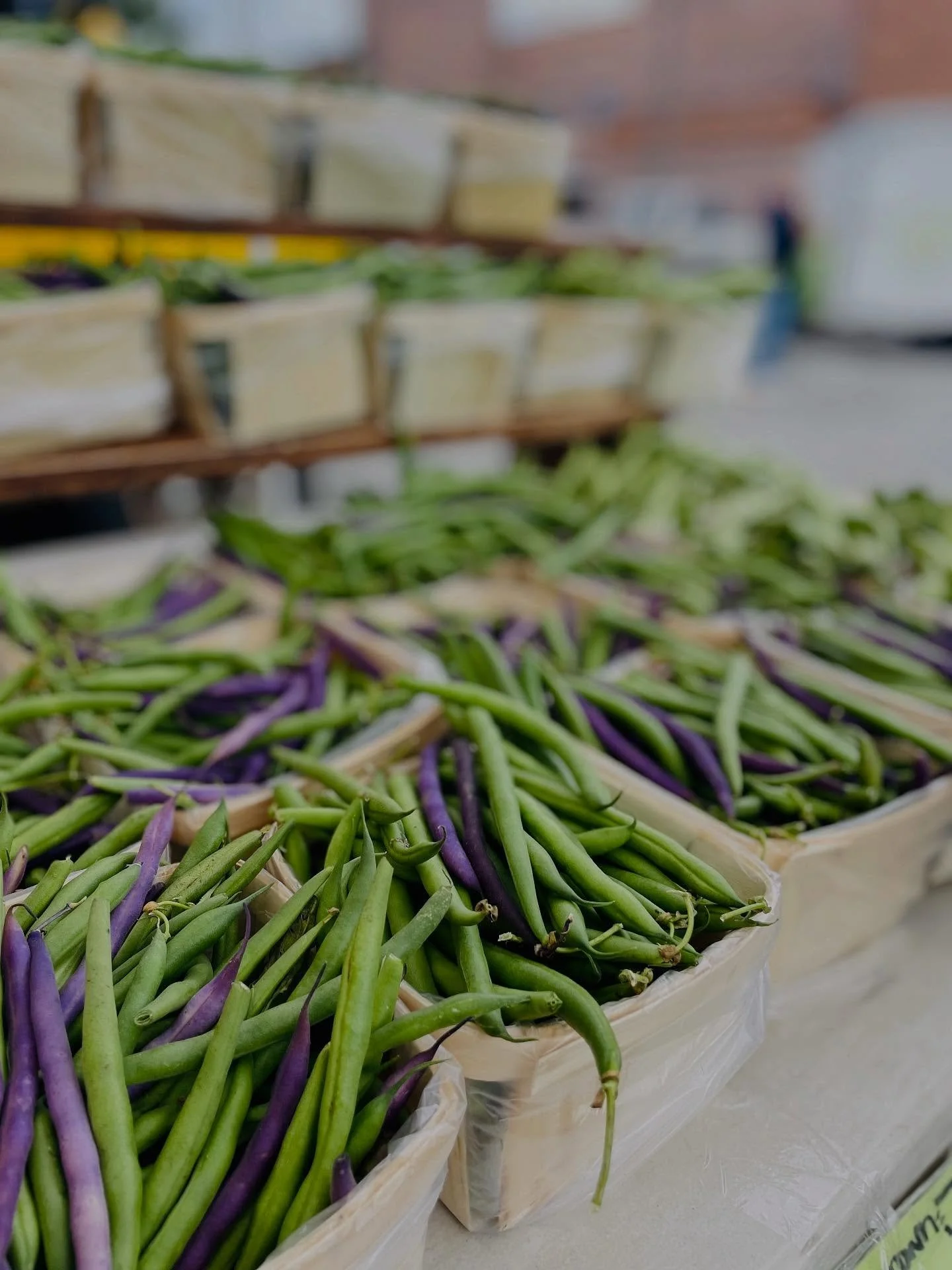 The wind whipped, the forecasts warned, and we braced for a nor&rsquo;easter that was slow to show. 🌪️ Instead, the market pulsed with color and life &mdash; a little wild, wonderfully weird, and almost electric, buzzing through every stall. Thank y