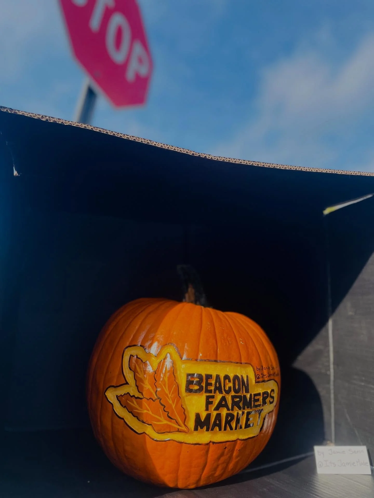 See you today. ☀️🥬 And don&rsquo;t forget&mdash; next week is our Halloween costume contest for vendors and dress up day for EVERYONE! 🎃👻 Pumpkin by @itsjamiemode 

🌹🥩🥕🥃🥖🍯🌽🧀🥬🥦🫐💍🍚🍦🍫🍩☕️

@beaconfarmersmarket is EVERY SUNDAY, 10a-2p.
