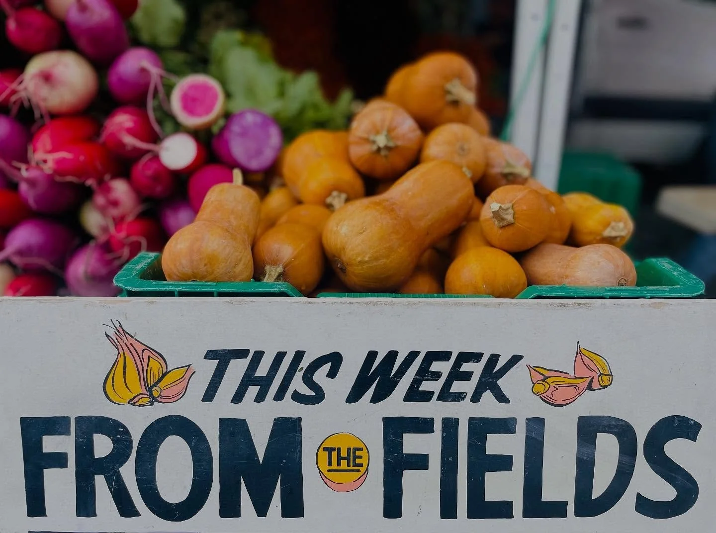 🌹🥩🥕🥃🥖🍯🌽🧀🥬🥦🫐💍🍚🍦🍫🍩☕️

@beaconfarmersmarket is EVERY SUNDAY, 10a-2p.

🥇Voted BEST FARMERS&rsquo; MARKET&mdash; 3 years in a row! @hudsonvalleymag

#BeaconFarmersMarket #CommunityStrong #farmersmarkets #thingstodoinbeacon #thingstodohuds