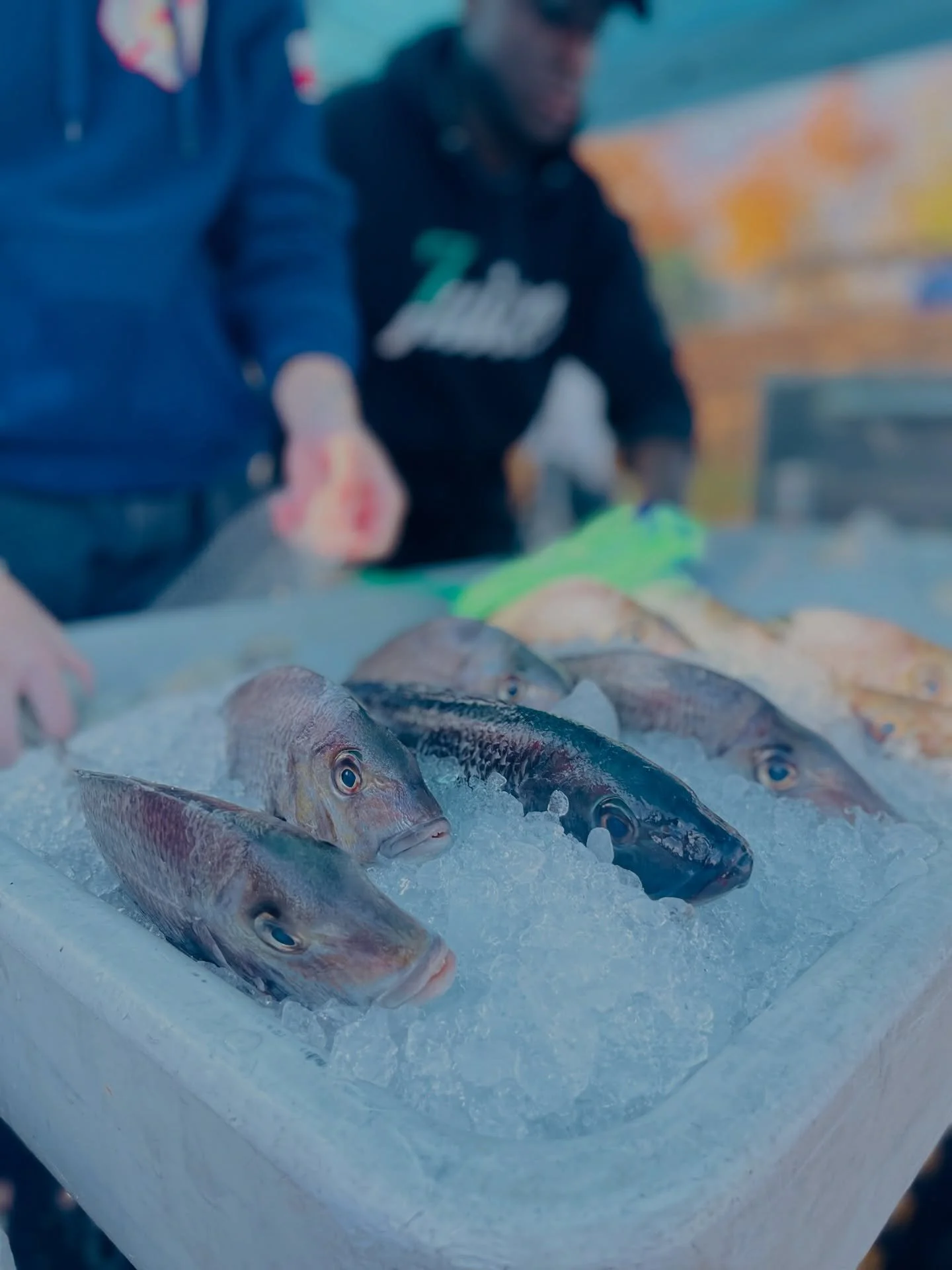 As fresh as it gets. @montaukcatchclub 

🌹🥩🥕🥃🥖🍯🌽🧀🥬🥦🫐💍🍚🍦🍫🍩☕️

@beaconfarmersmarket is every Sunday. 10-2.

@beaconfarmersmarket Voted BEST FARMERS&rsquo; MARKET by @hudsonvalleymag (THREE years running)

#BeaconFarmersMarket #Community