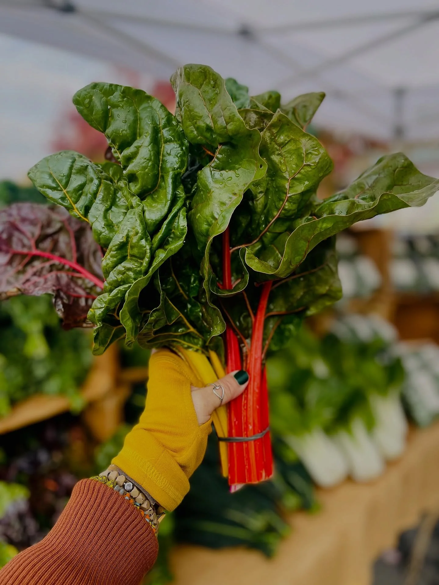 Rainbow chard, but make it snackable 🌈✨ Toss the leaves with olive oil, salt &amp; pepper, bake &lsquo;til crispy, and don&rsquo;t forget the stems &mdash; mini colorful fries! 🥬🔥

🌹🥩🥕🥃🥖🍯🌽🧀🥬🥦🫐💍🍚🍦🍫🍩☕️

@beaconfarmersmarket is every 