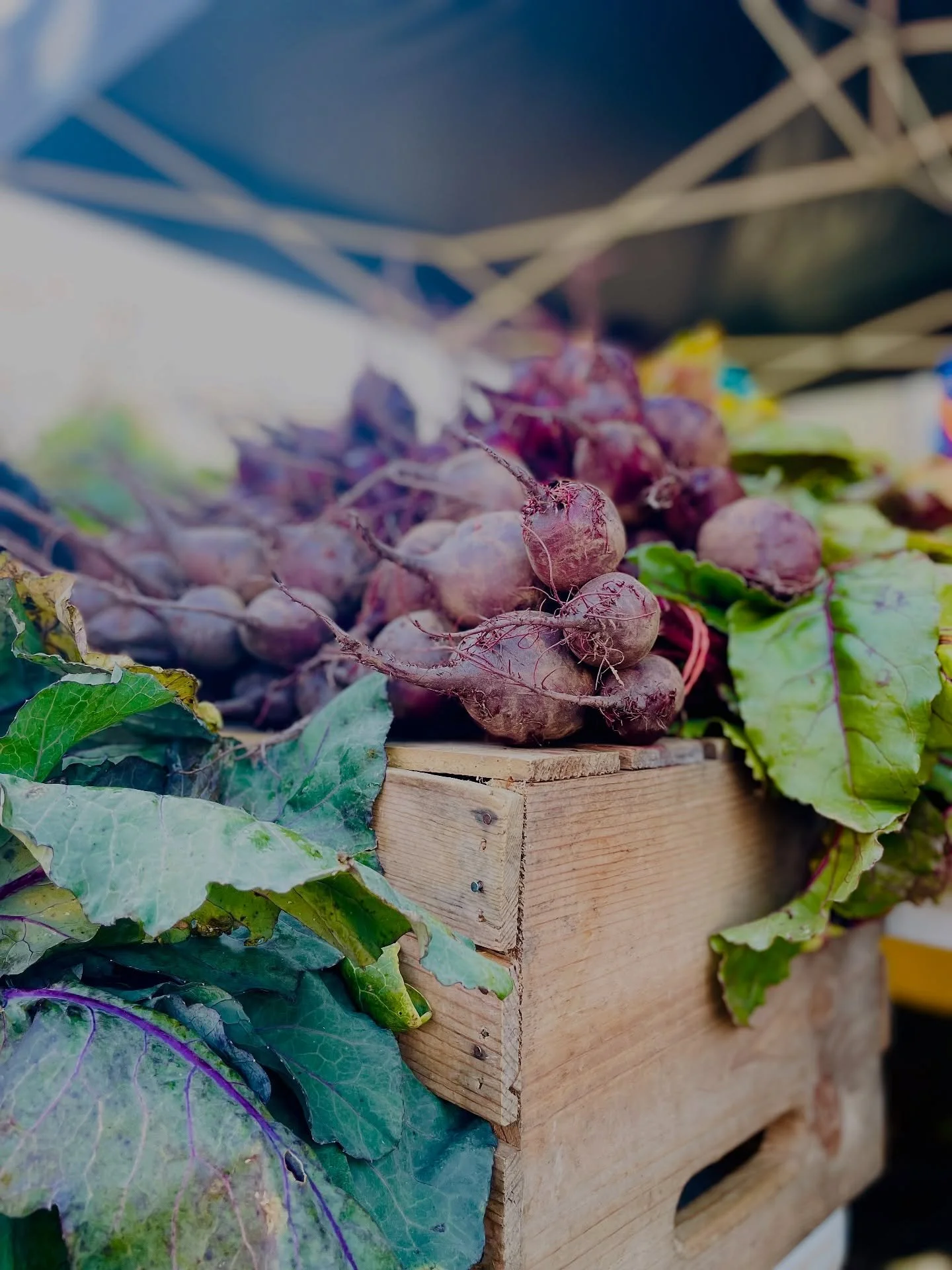 Another gorgeous &mdash; rain free &mdash; Sunday awaits us. ☀️ 

🌹🥩🥕🥃🥖🍯🌽🧀🥬🥦🫐💍🍚🍦🍫🍩☕️

@beaconfarmersmarket is every Sunday. 10-2.

Voted BEST FARMERS&rsquo; MARKET by @hudsonvalleymag (THREE years running)

#BeaconFarmersMarket #Commu