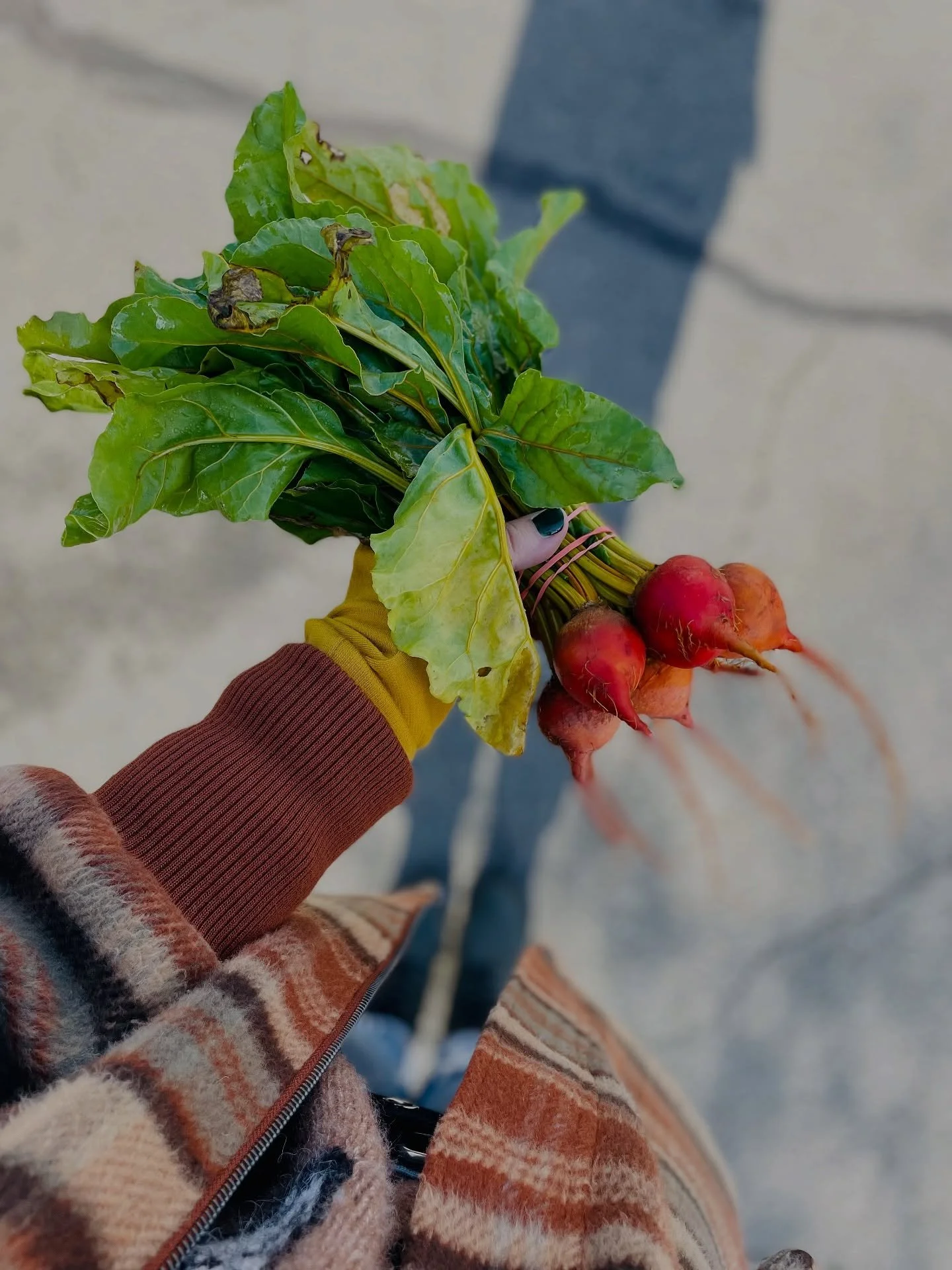 Happy Sunday. ☀️ See you soon!!!!! 

🌹🥩🥕🥃🥖🍯🌽🧀🥬🥦🫐💍🍚🍦🍫🍩☕️

@beaconfarmersmarket is every Sunday. 10-2.

Voted BEST FARMERS&rsquo; MARKET by @hudsonvalleymag (THREE years running)

#BeaconFarmersMarket #CommunityStrong #farmersmarkets #t