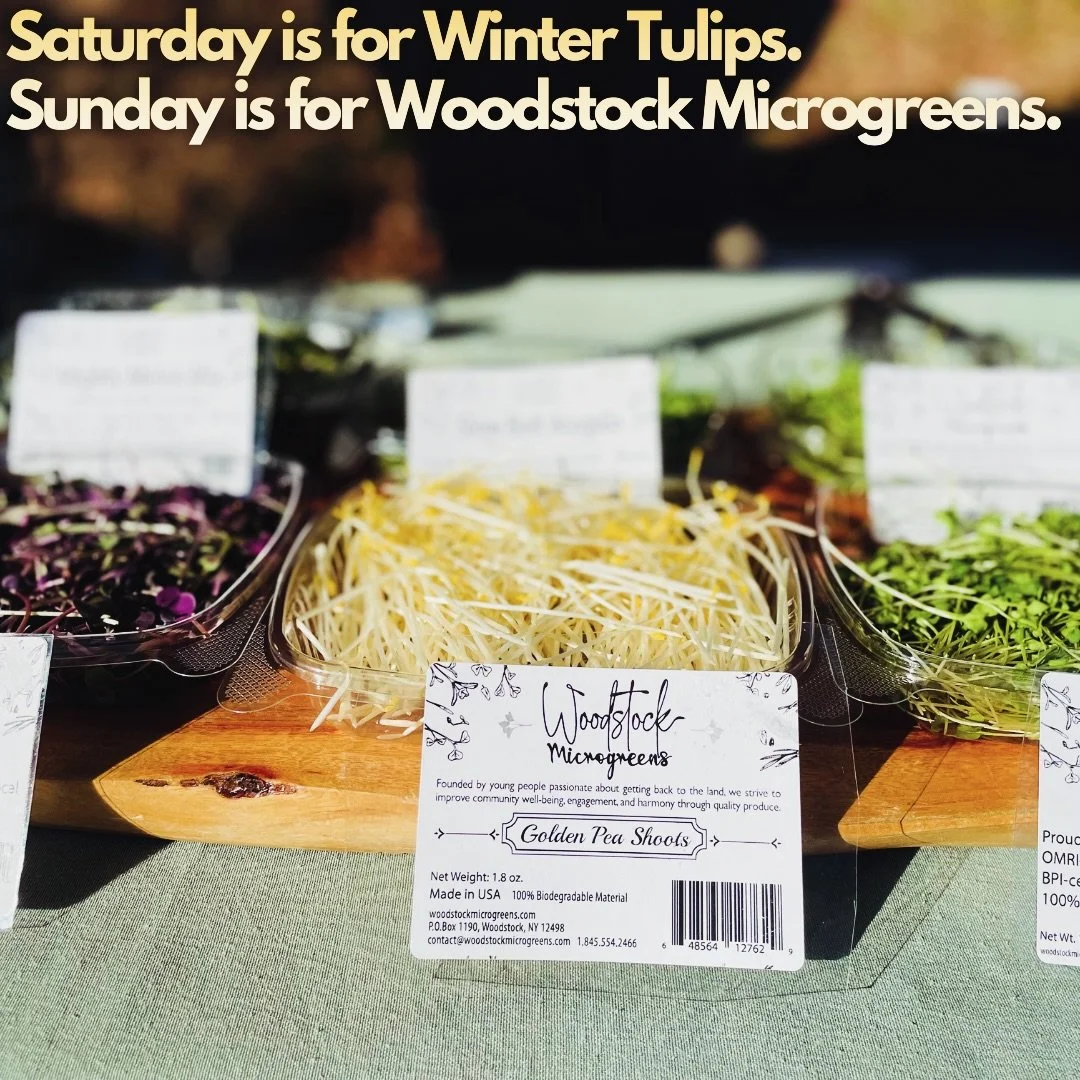 Saturday is for Winter Tulips.
Sunday is for Woodstock Microgreens.

Flowers in a vase. 🌷 
Greens on a plate. 🌱 
Both are love. 💗 

We&rsquo;re back to full hours.
10&ndash;2.
Come show up.
With us. 
For us. 
For you. 

🌹🥩🥕🥃🥖🍯🌽🧀🥬🥦🫐💍🍚?
