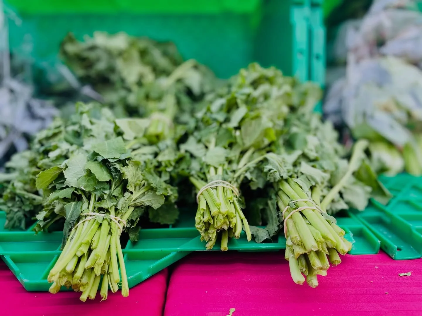 It&rsquo;s crunchy.
It&rsquo;s clean.
It&rsquo;s quietly powerful.

The unsung backbone of soups.
The base note of stocks.
The thing that makes tuna salad actually interesting.

But here&rsquo;s a fun one you may not be using yet:

✨ Celery Leaf Sals