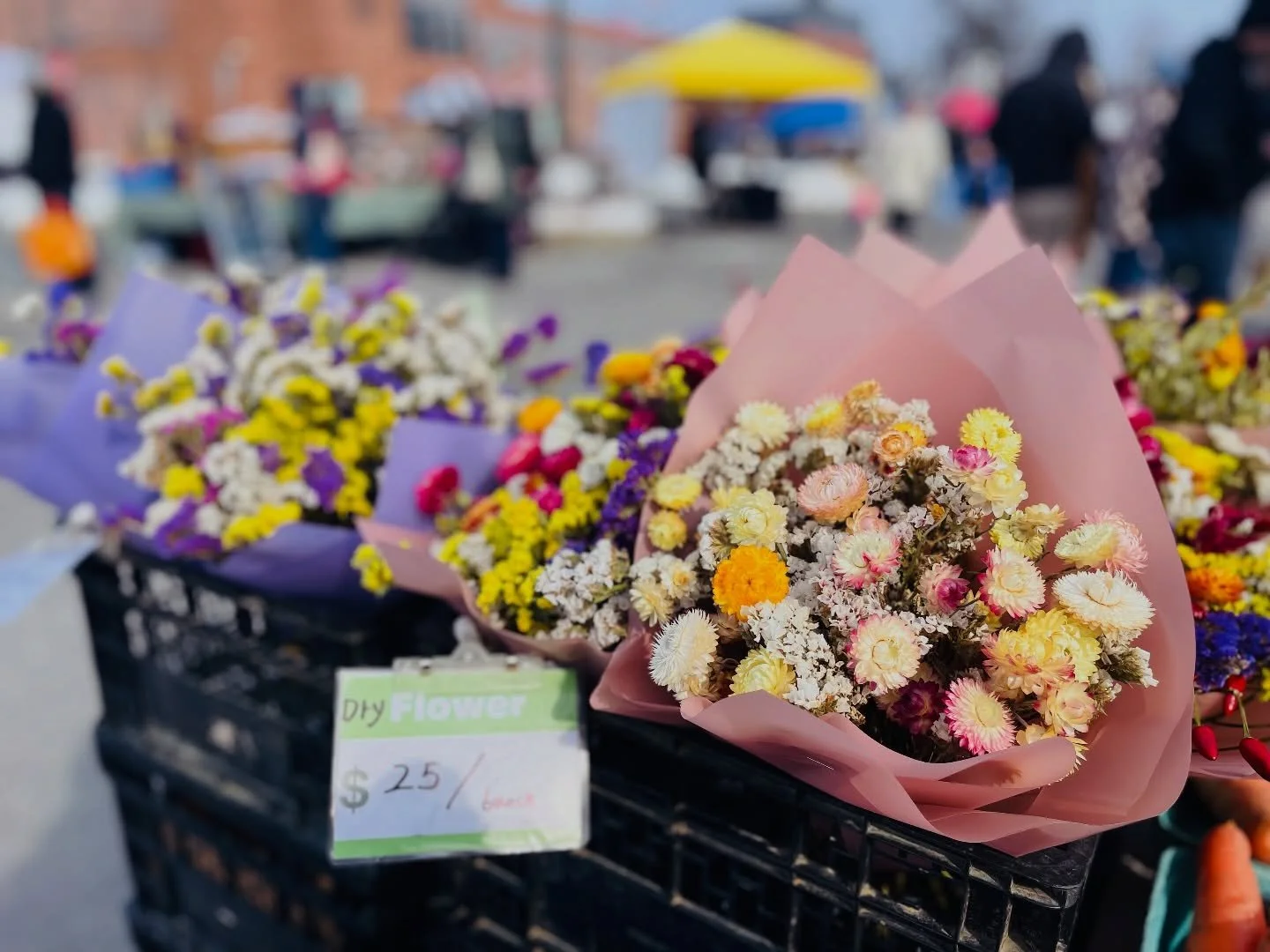 Sunday Market Update: Open 10&ndash;1 (Storm Timing Inside). New vendors, old favorites [see inside for vendor map] + delicious food, drink and craft. SEE NEWSLETTER in your inbox or linked on Facebook for details. Or sign up today, link in insta bio