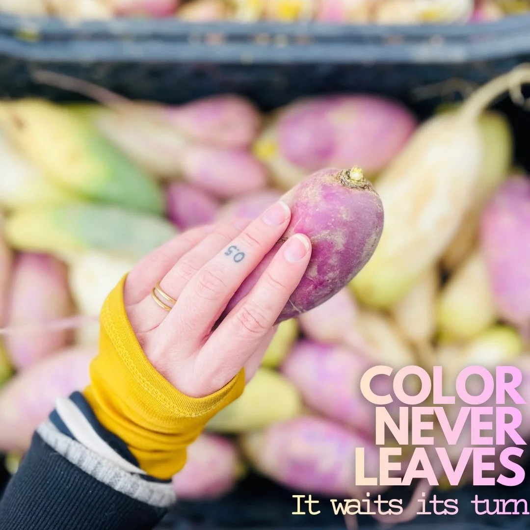 Color never leaves.
It patiently waits its turn.

In winter, it lives in plum potatoes.
In dusty pink daikons. 
In wood grain.
In wool sleeves and market crates.

And then, slowly, it rises.

Meet us in the in-between.
Sundays. 10&ndash;2.