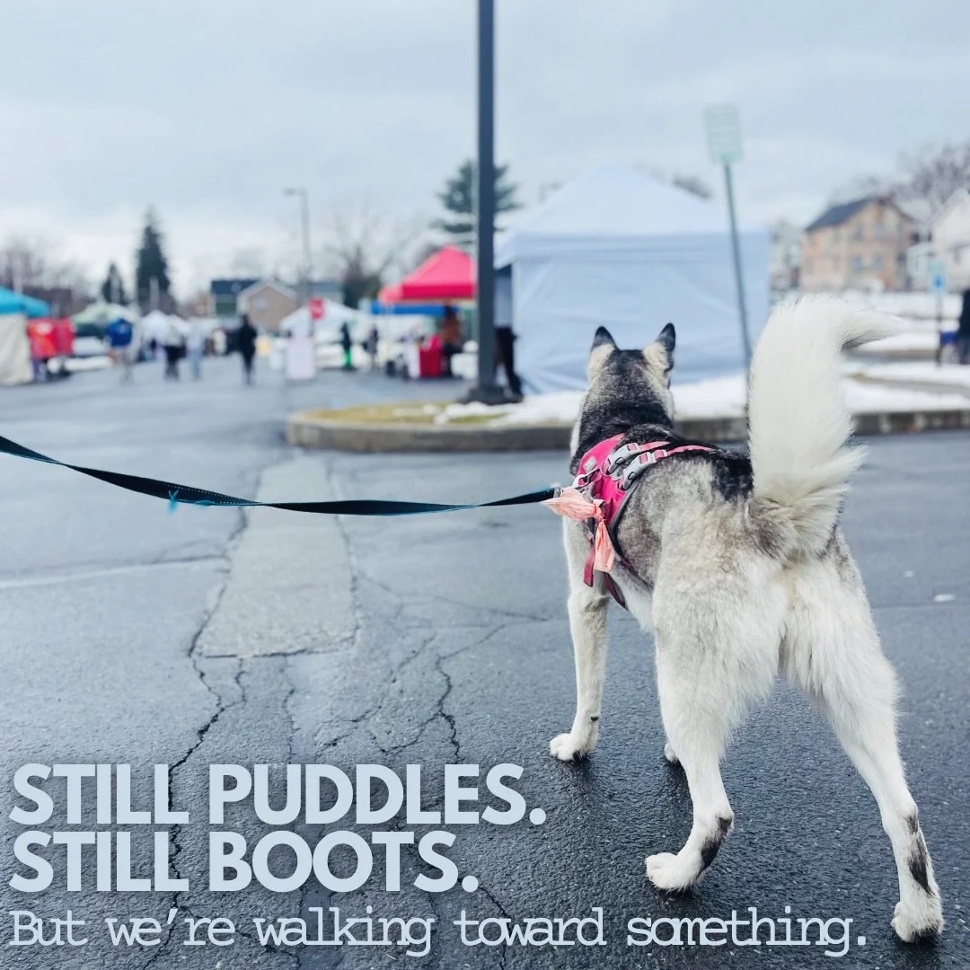 Still puddles.
Still gray skies.
Still boots.

But we&rsquo;re walking toward something.

Markets don&rsquo;t wake up overnight.
They stretch.
They yawn.
They brighten.

Taupe to pink.
Plum to petal.

We&rsquo;ll meet you there.