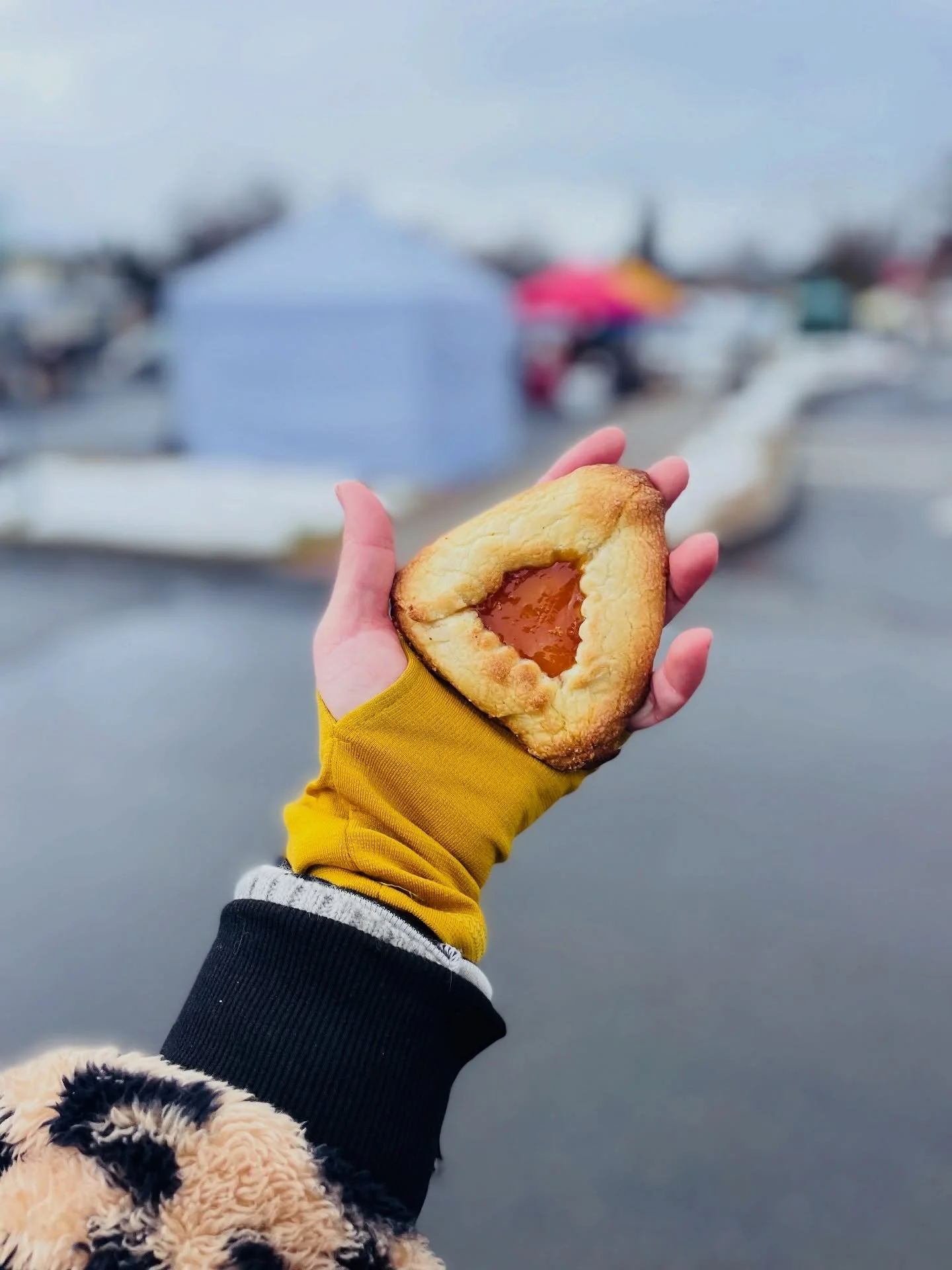 As winter softens and the light stretches a little longer ☀️ a certain three-cornered cookie starts appearing&hellip;

Hamantaschen.

Traditionally eaten during Purim &mdash; a celebration of courage, resilience, and joy 🎭 &mdash; these triangular p