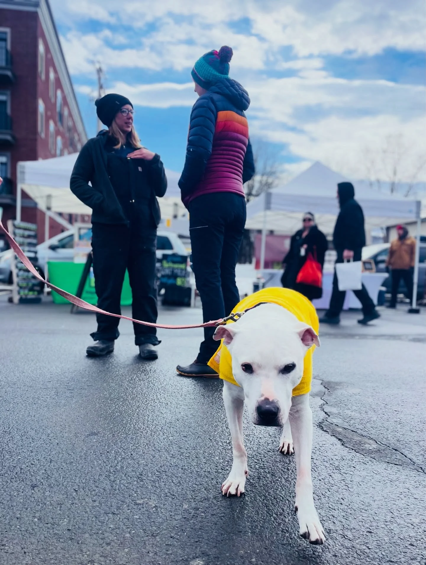 We&rsquo;re built on ritual.

Tents up.
Farmers return.
Neighbors meet in the aisles.
Conversations pick up where they left off. 

In a world of algorithms, the market remains beautifully analog &mdash;
people showing up, week after week.
Face to fac