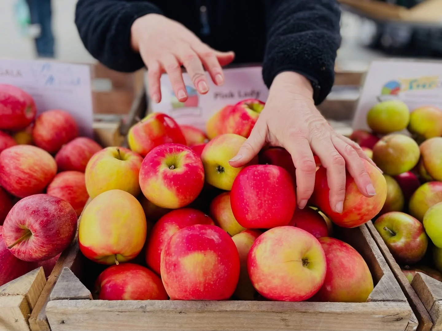 You don&rsquo;t choose the apple.
The apple chooses you. 🍎✨
