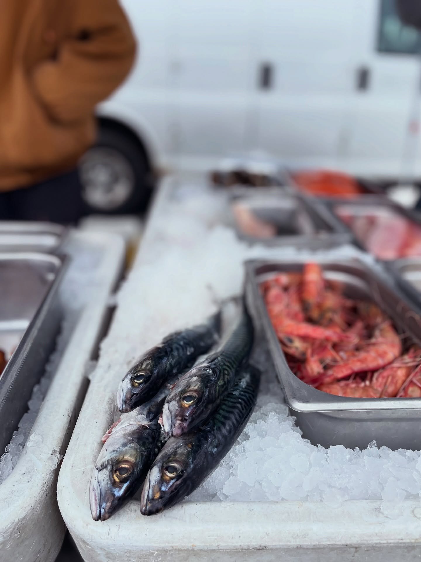 Fresh enough to still look you in the eye 👀

Mackerel on ice, shrimp piled high, and that just-caught shine that tells you everything you need to know.

This is what &ldquo;from the source&rdquo; looks like. 🐟🧊