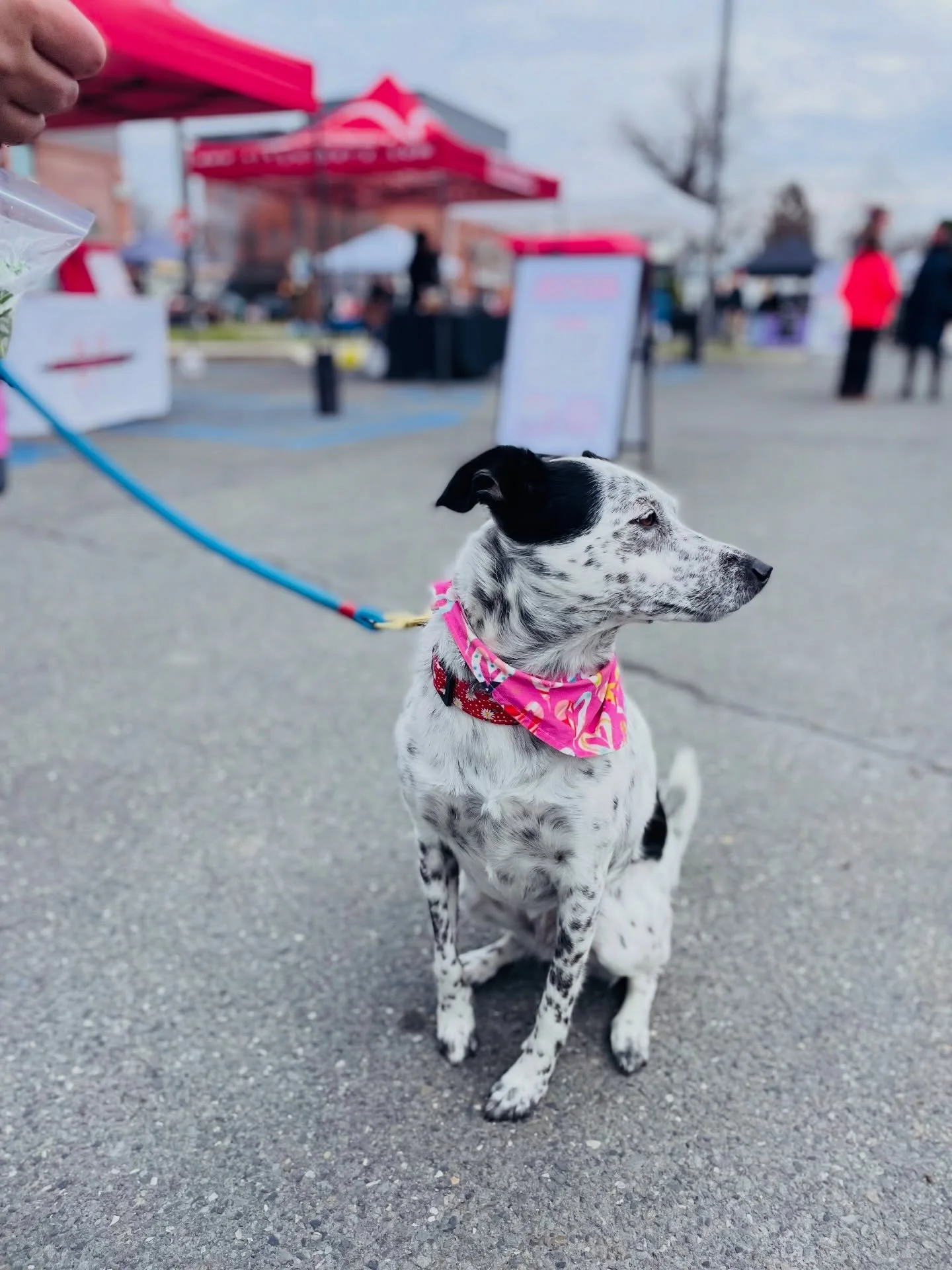 Not my first market.
Won&rsquo;t be my last.
Here for snacks, compliments, and light socializing.

Sunday &bull; 10&ndash;2