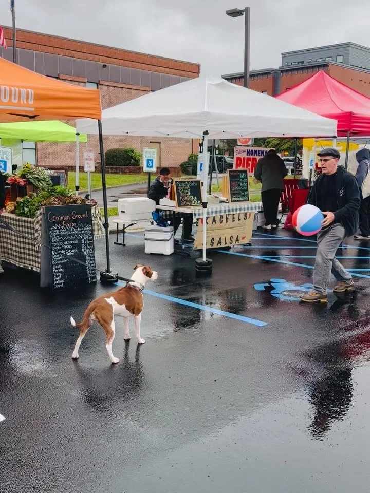 We refuse to let a little weather ruin a good Sunday. Also, pretty sure the dog had more skills than all of us. 🐶🏐🌧️🤍