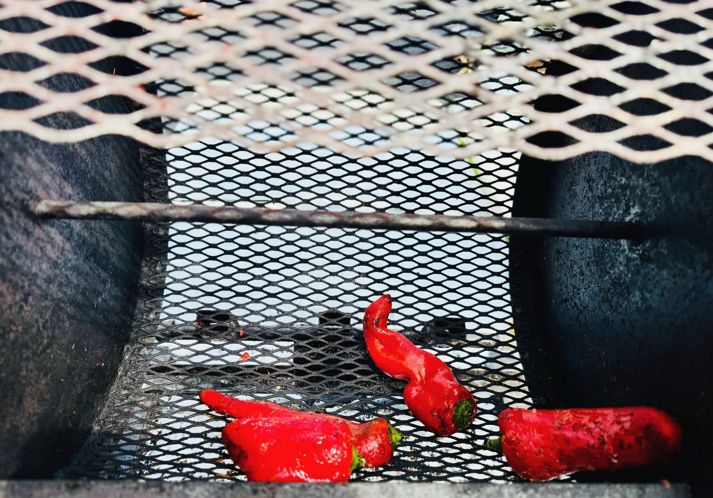 You&rsquo;ll smell the roaster before you see it. 🌶️❤️🔥 @longseasonfarm is firing it up this Sunday at BFM.

Carmen sweet peppers. Roasted right at the market. Take them home, peel them, freeze them, put them on absolutely everything.

There are ab