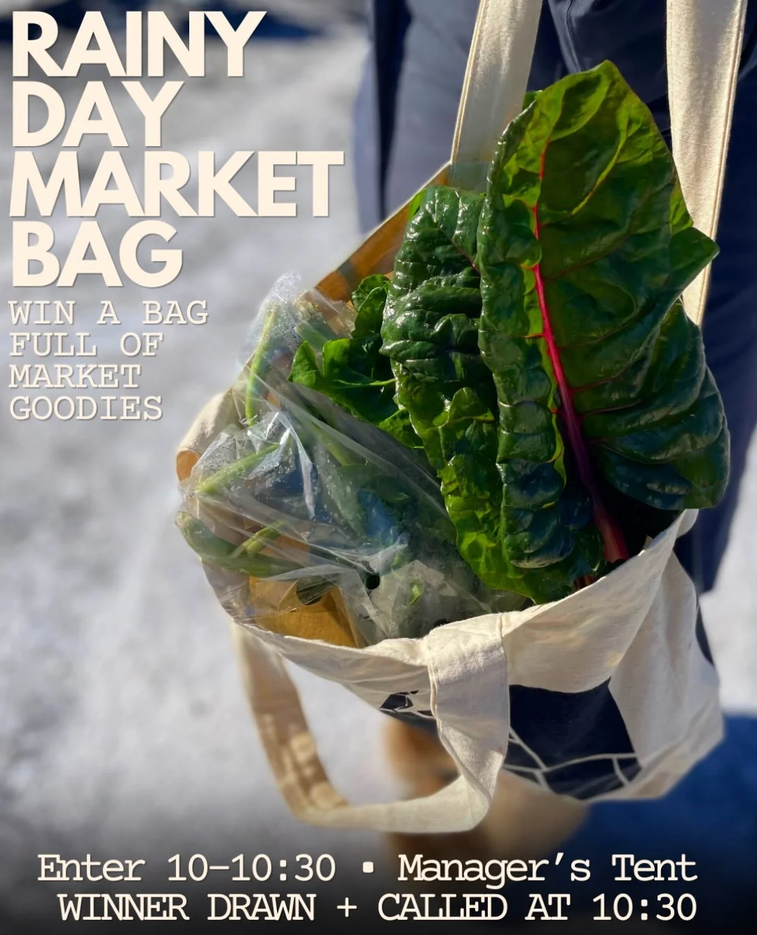 RAINY DAY MARKET BAG. 🌧️🛍️ If you&rsquo;re showing up for us in the rain, we want to make somebody&rsquo;s Sunday VERRRRRYYYYYY worth it. 💥 

We&rsquo;re filling one market bag with $100+ worth of goodies from around the @beaconfarmersmarket &mdas