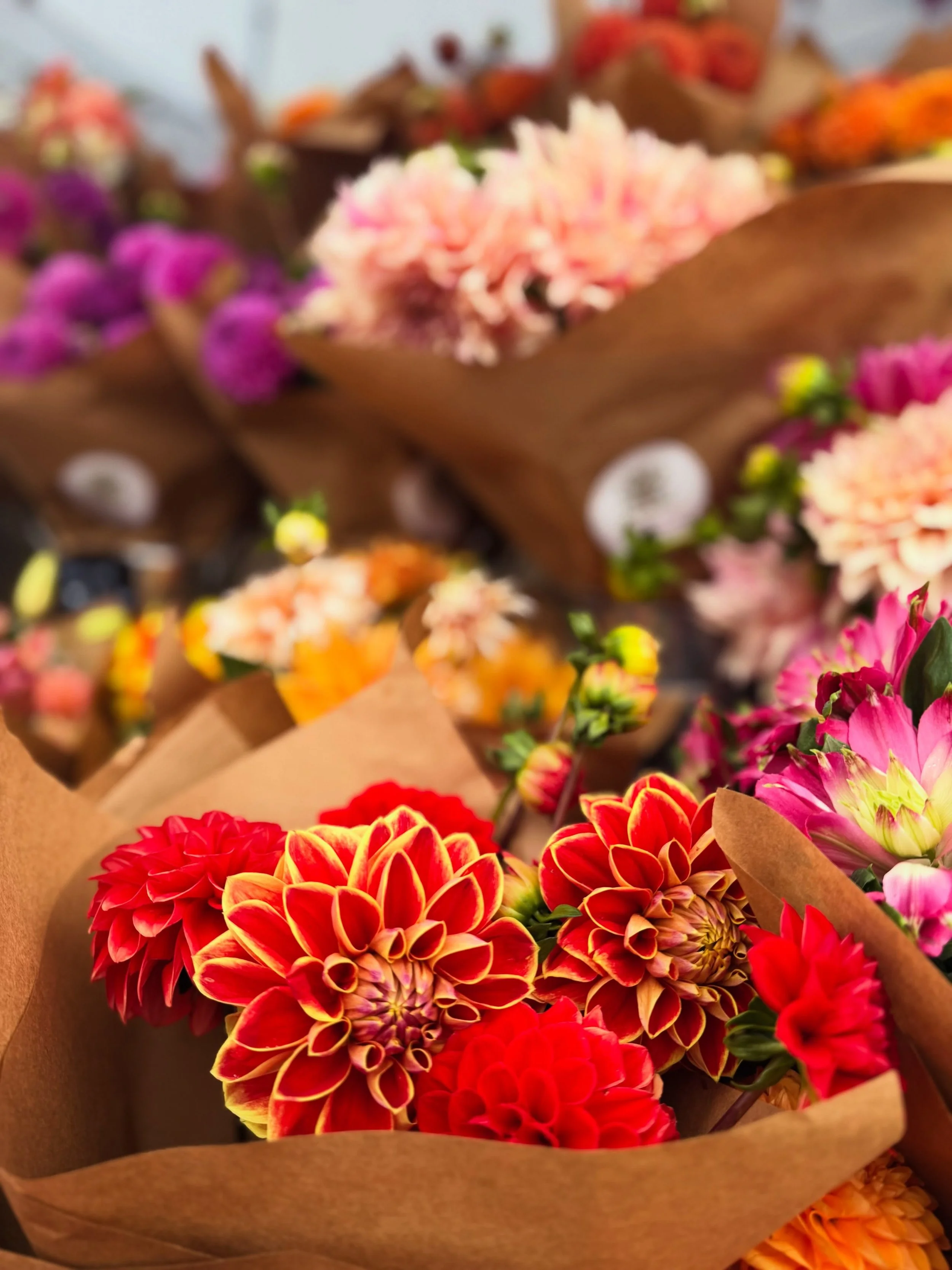 You absolute show-off. 💐

The colors. The patterns. The impossibly perfect little details.

No paintbrush. No Photoshop. Just @sixdutchessfarm flowers doing their ridiculously beautiful thing.

📍 Every Sunday | 223 Main | 10&ndash;2