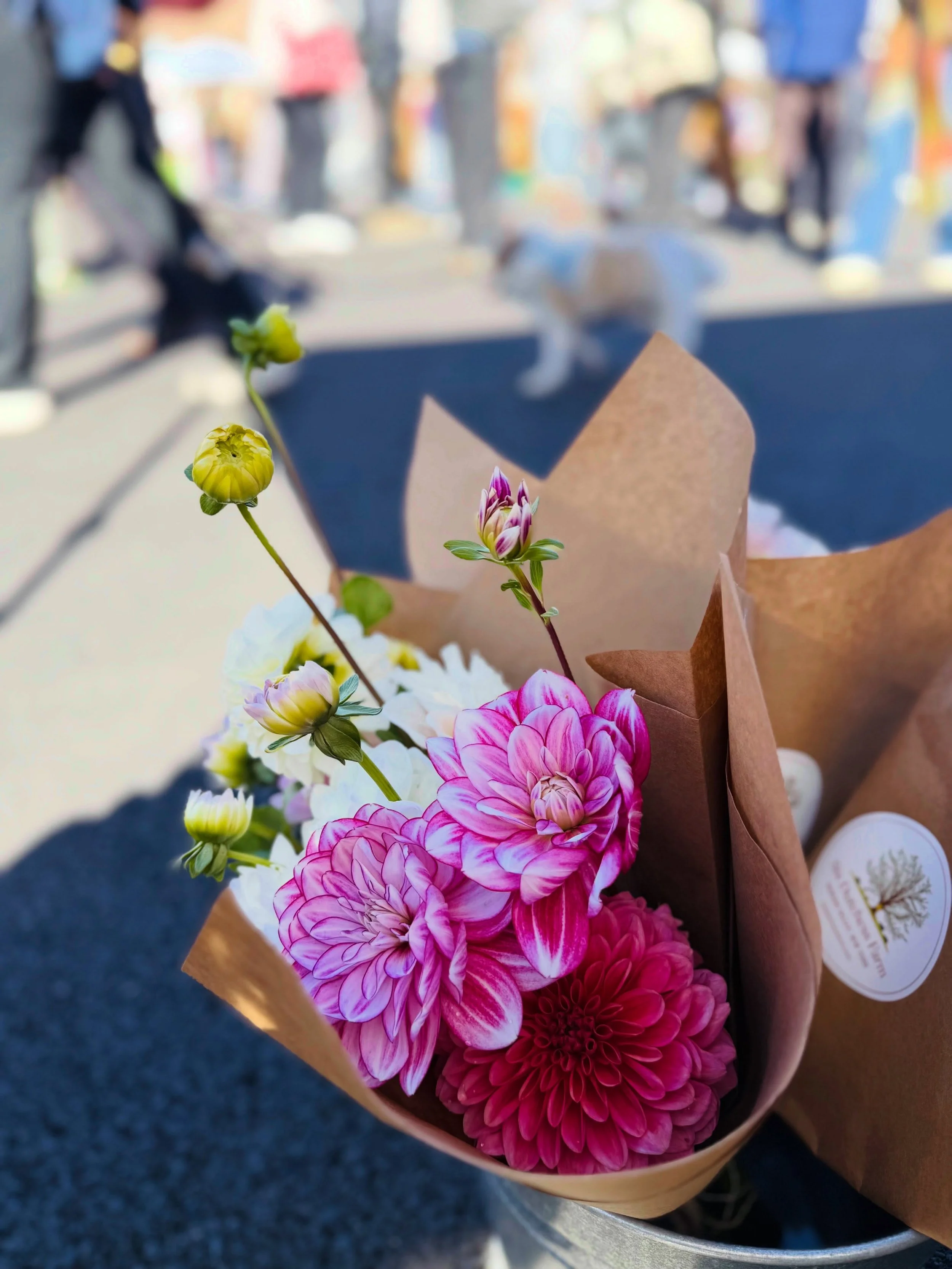 If this isn&rsquo;t a painting &mdash; if those petals weren&rsquo;t created by the most perfect brushstrokes &mdash; then we don&rsquo;t know up from down anymore. 🌸✨ Bravo @sixdutchessfarm