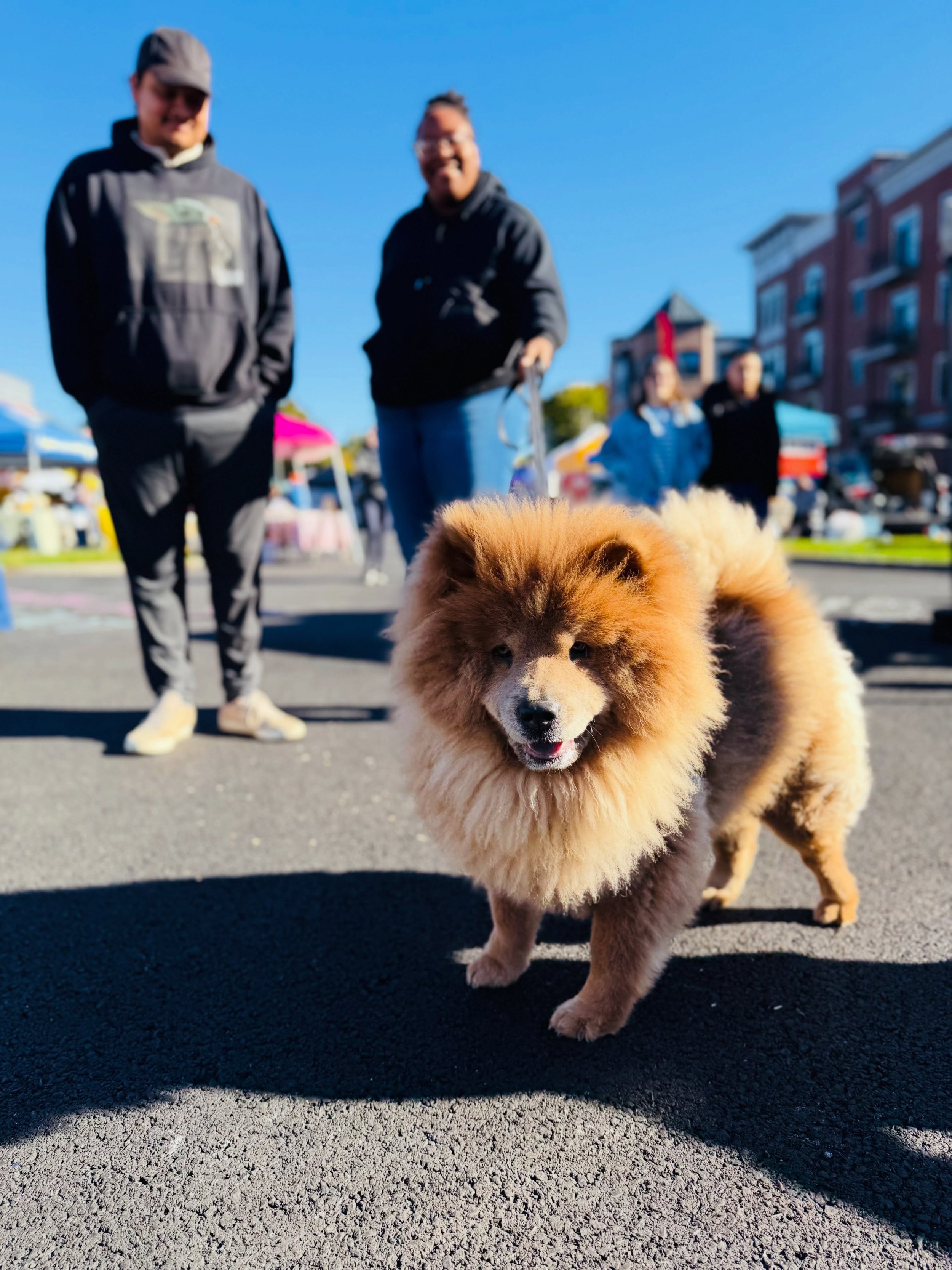 Part of what makes Beacon, Beacon. 🐶🧡🦁 @beaconfarmersmarket
