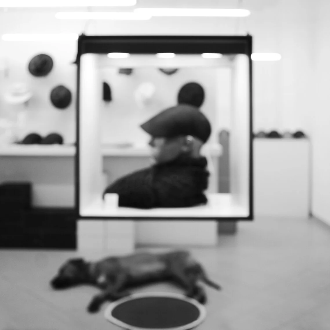 A blurred black and white photo of a mannequin head in profile wearing a beret, and directly under the mannequin a dog is lying asleep, seen through a display case in a store, with various hats and accessories in the background.